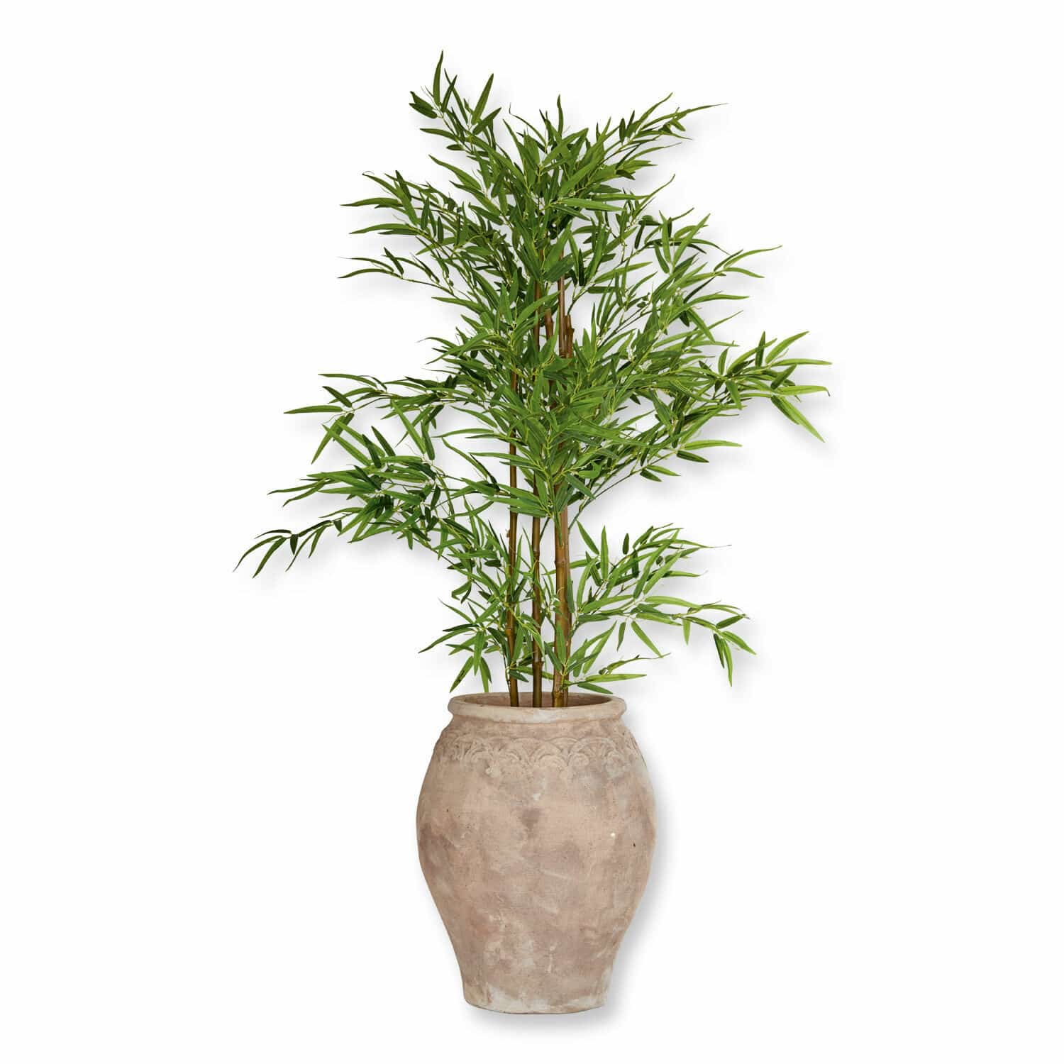 Decoratieve potplant Ligron