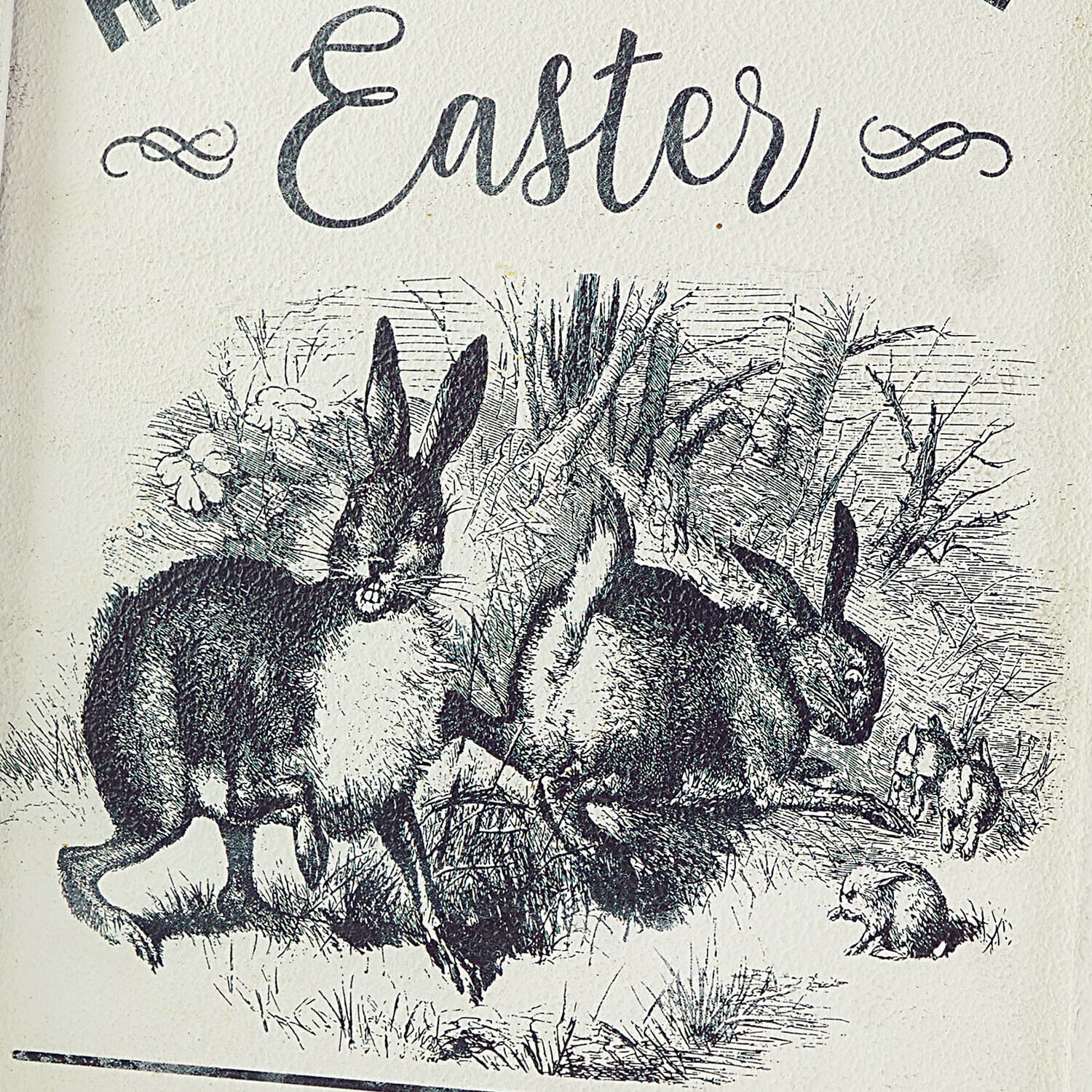 Decoratief bord Sivalex