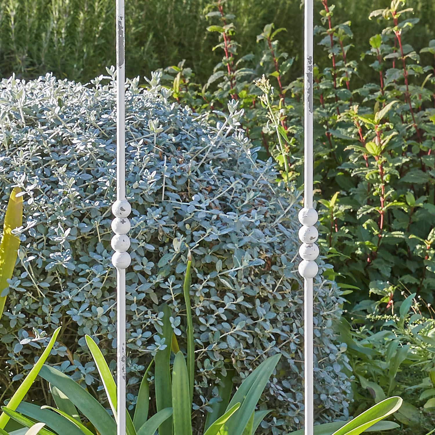 Klimplantenrek Aube