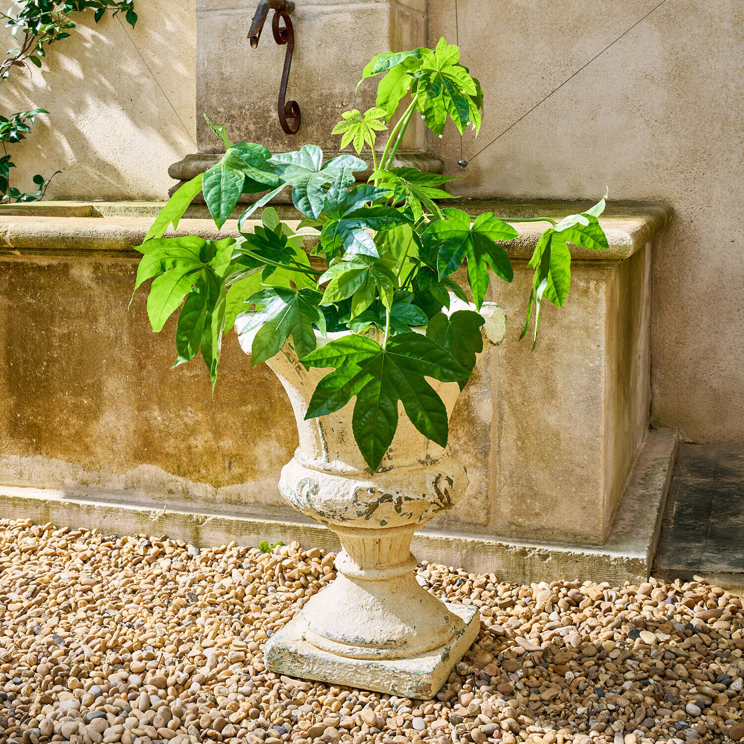 Decoratieve crèmekleurige stenen pot met groene bladeren op grind in een tuin