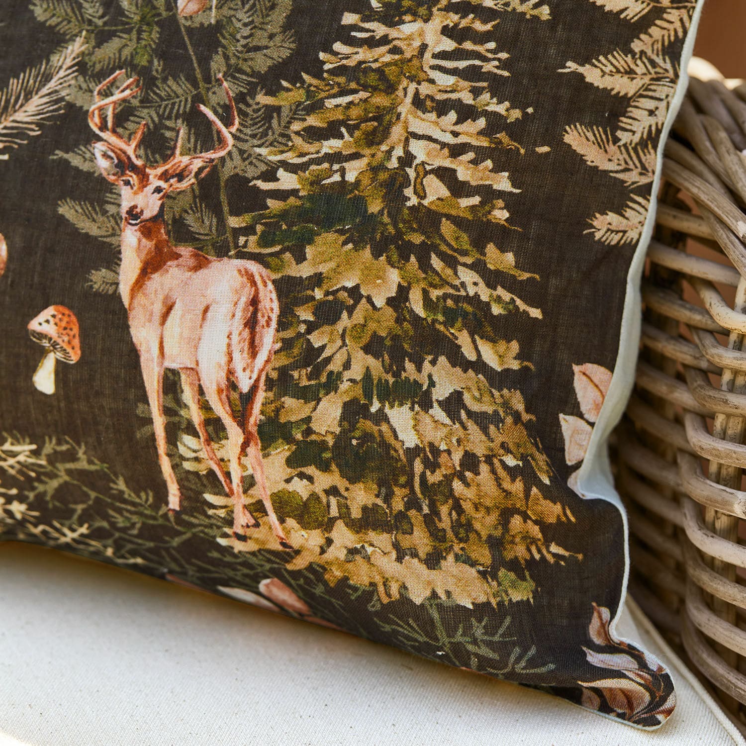 Kussenhoes Clairvigne