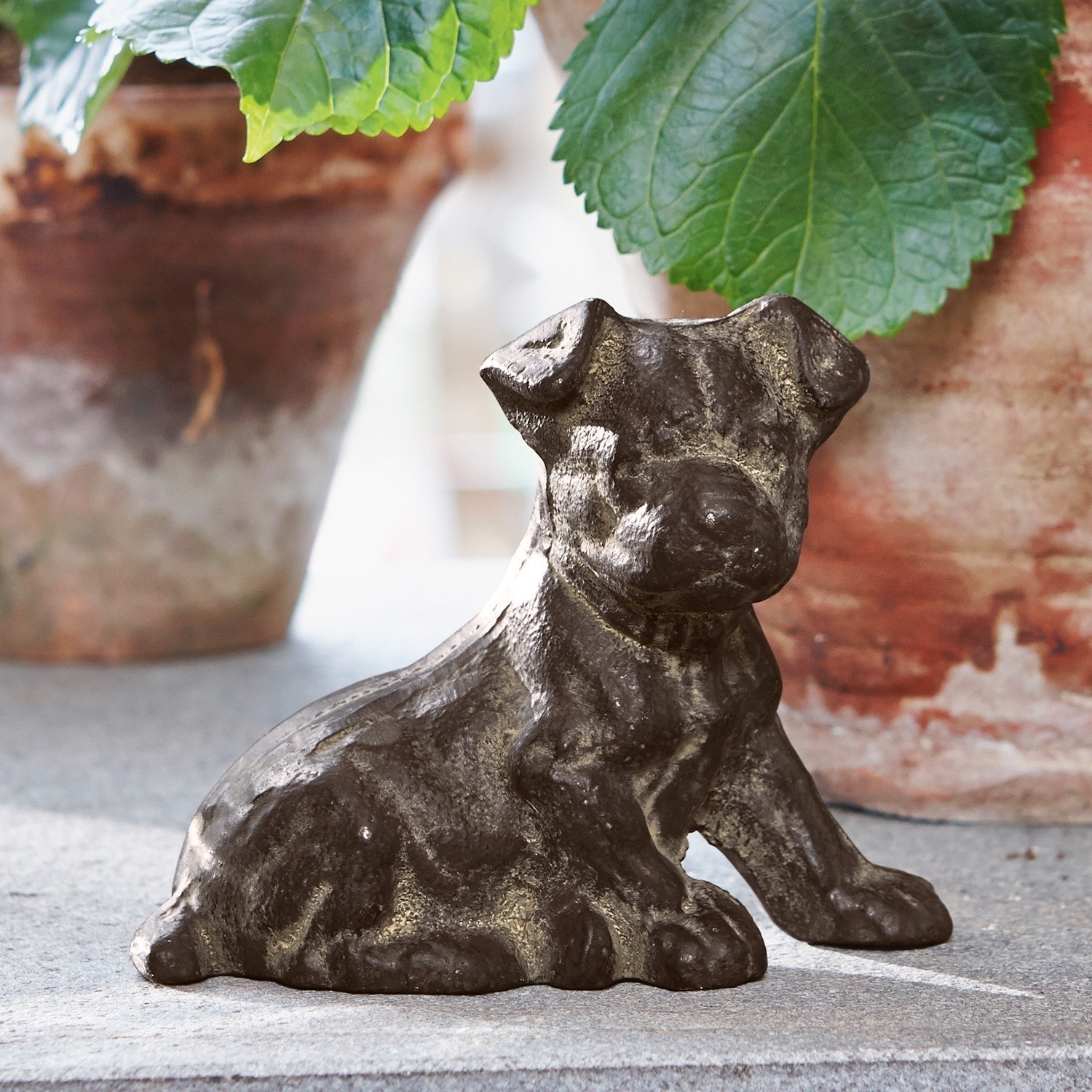 Decoratie hond Macho