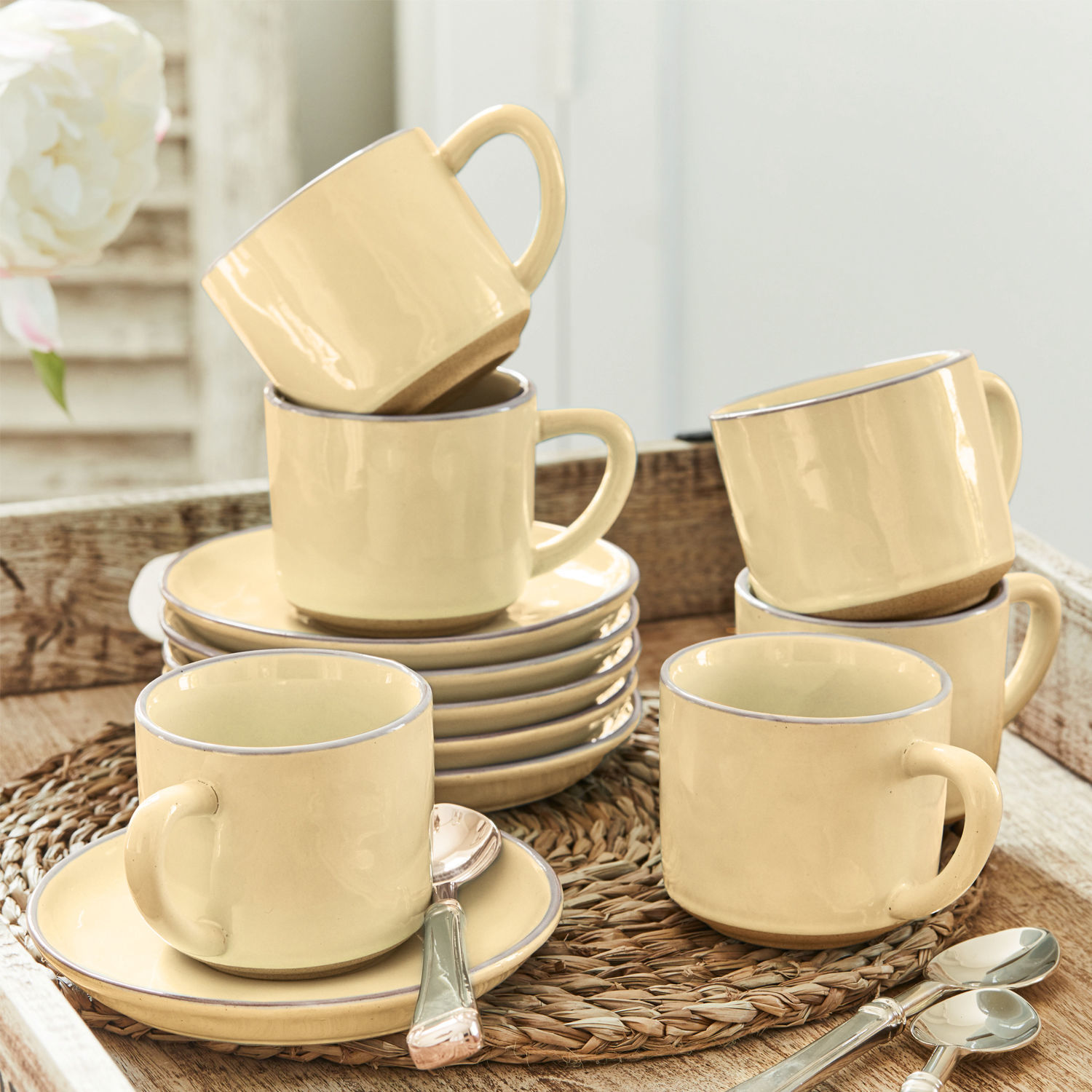 Kopje en schoteltje set van 6 Biarré