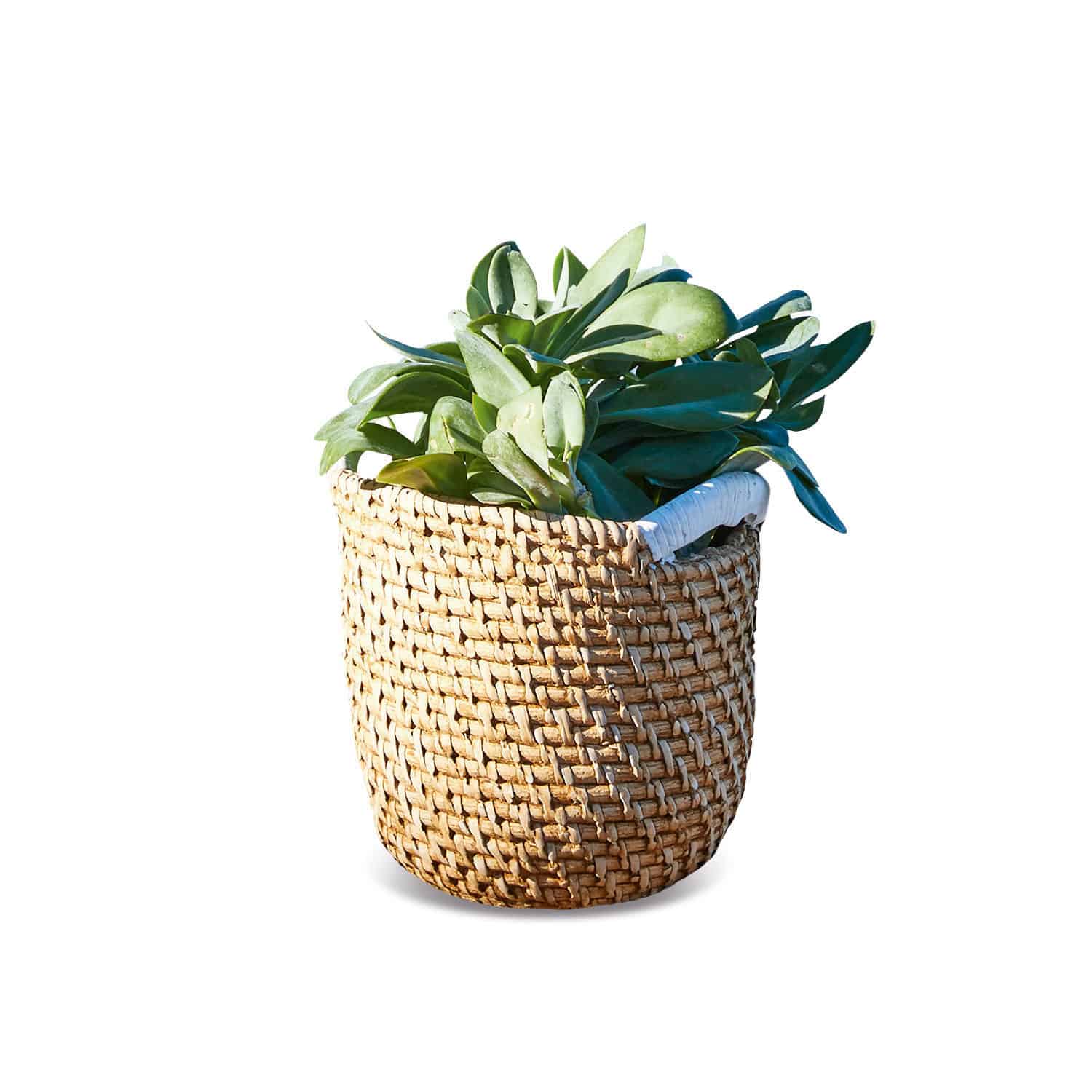 Bloempot Zalia