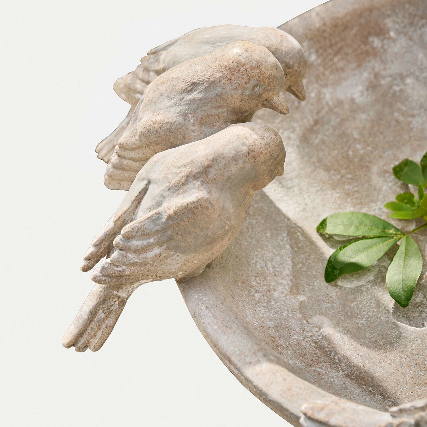 Vogelbadje Haldoríe