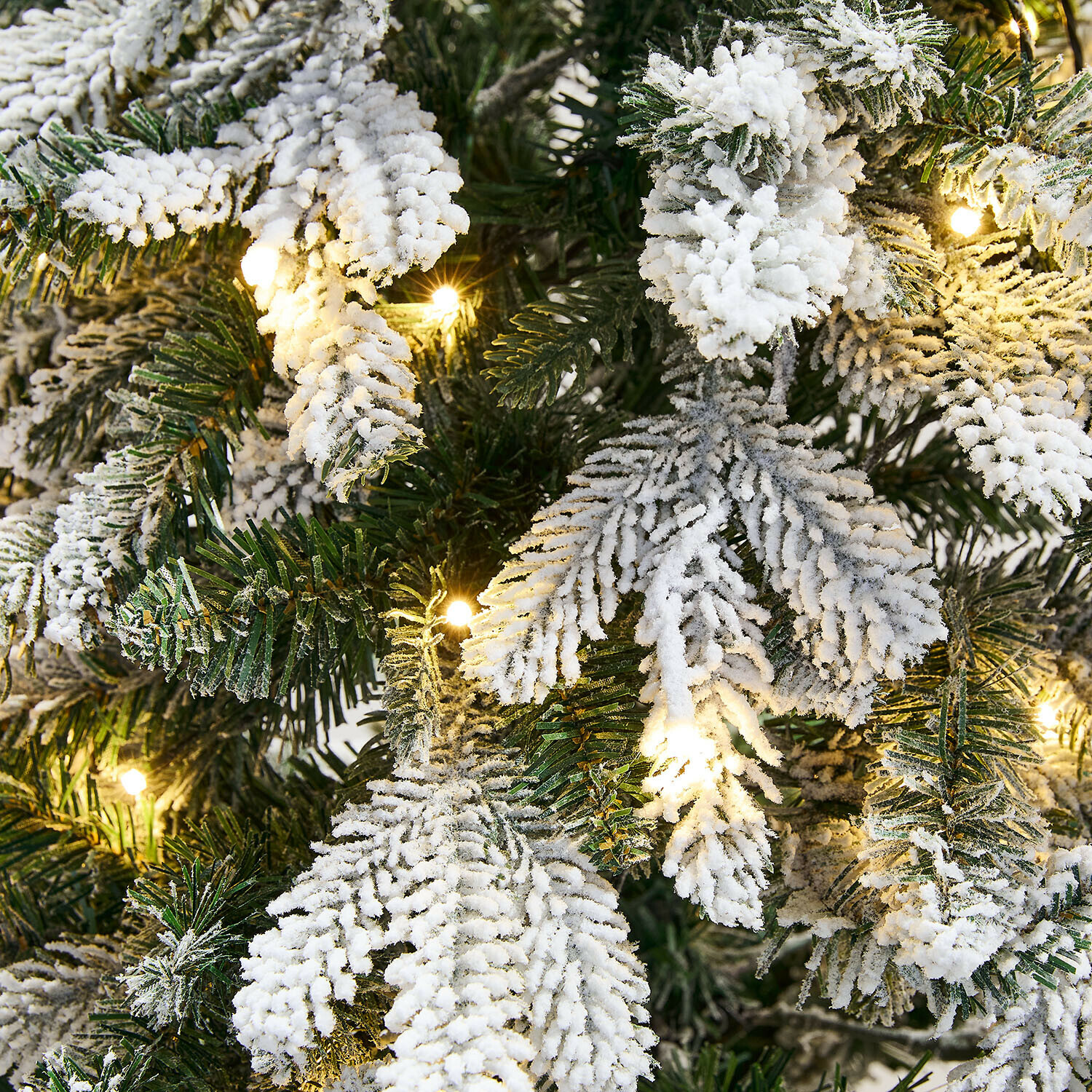 Kerstboom Norila