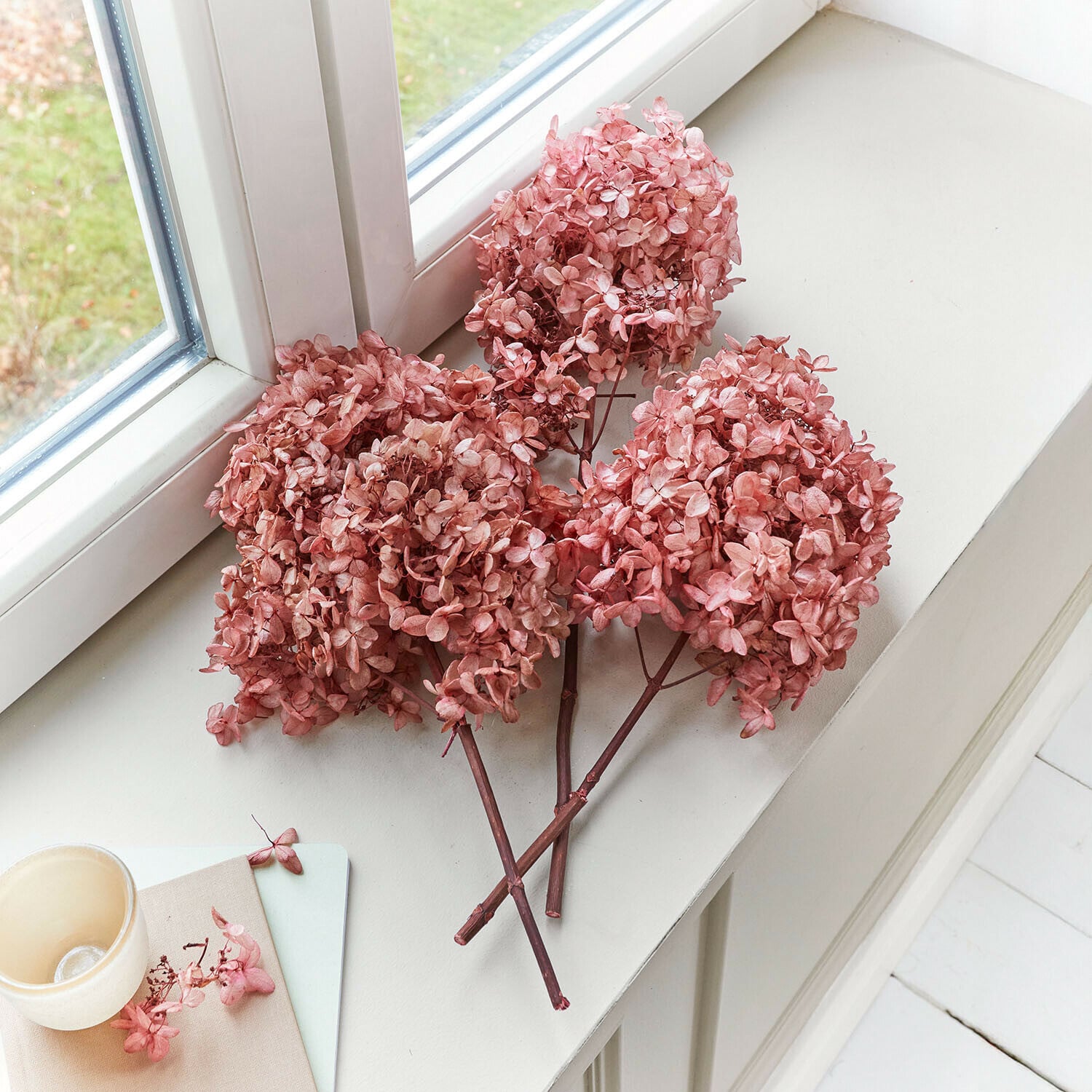 Droogbloem set van 3 Amélorie