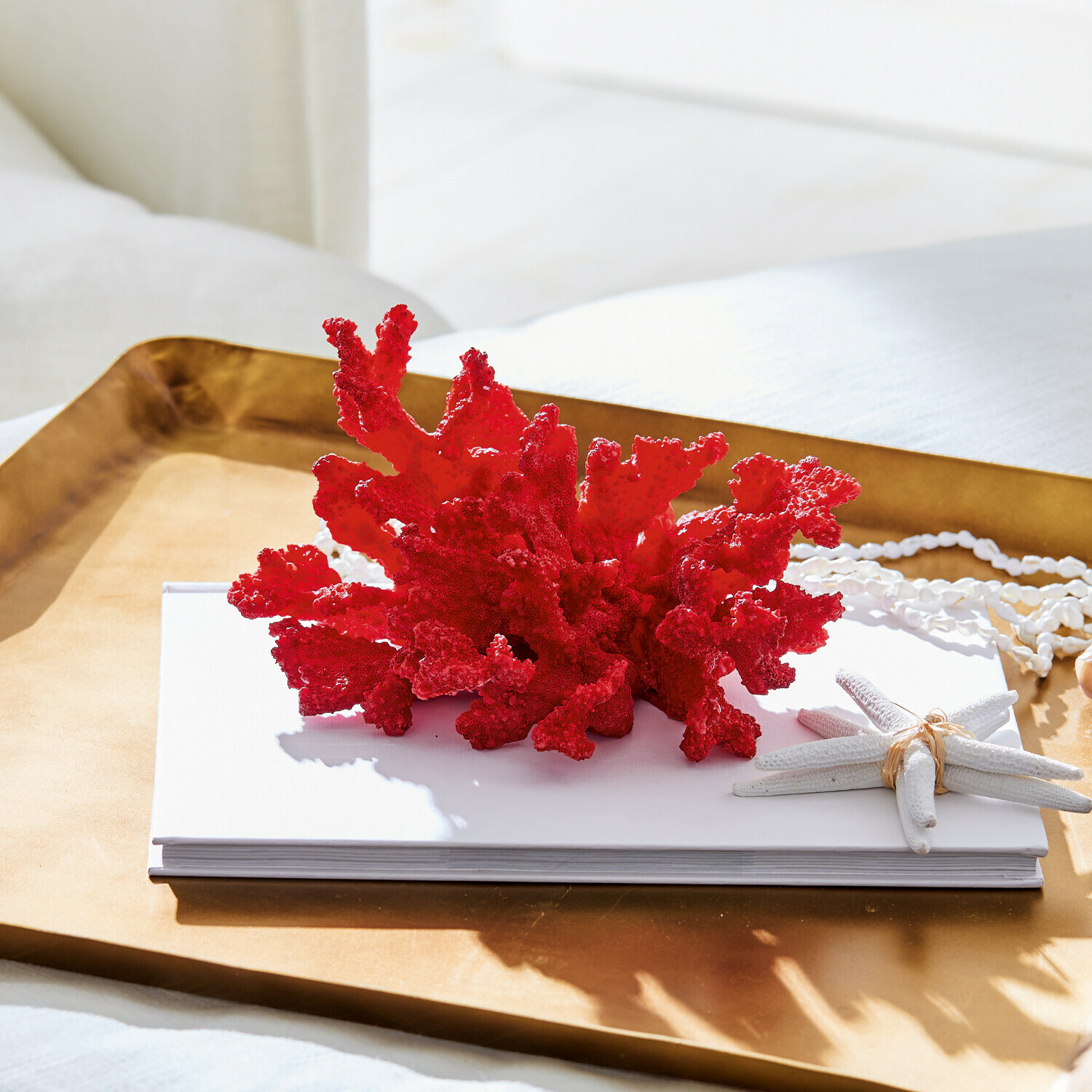 Decoratief koraal Reddish
