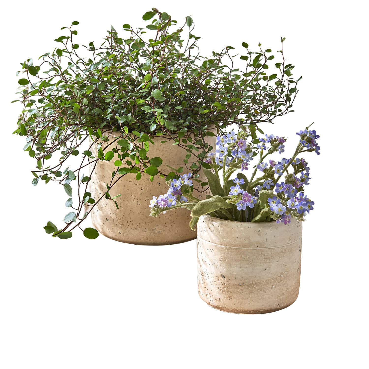Twee beige keramische potten met groene planten en paarse bloemen voor interieurdecoratie