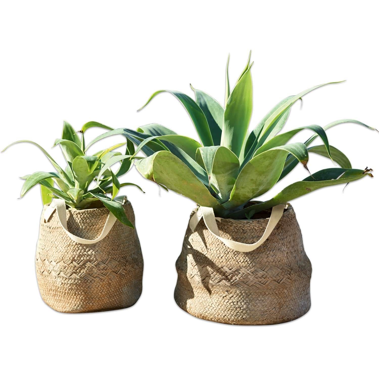 Sierpot set van 2 Mandella