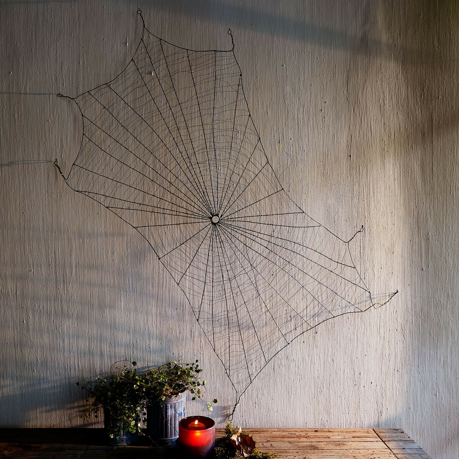 Decoratief spinnenweb Vexilnor