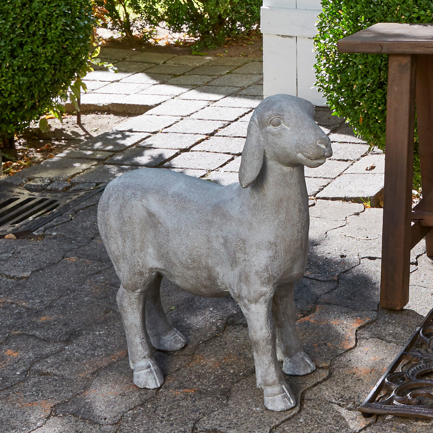 Schaap Mouton