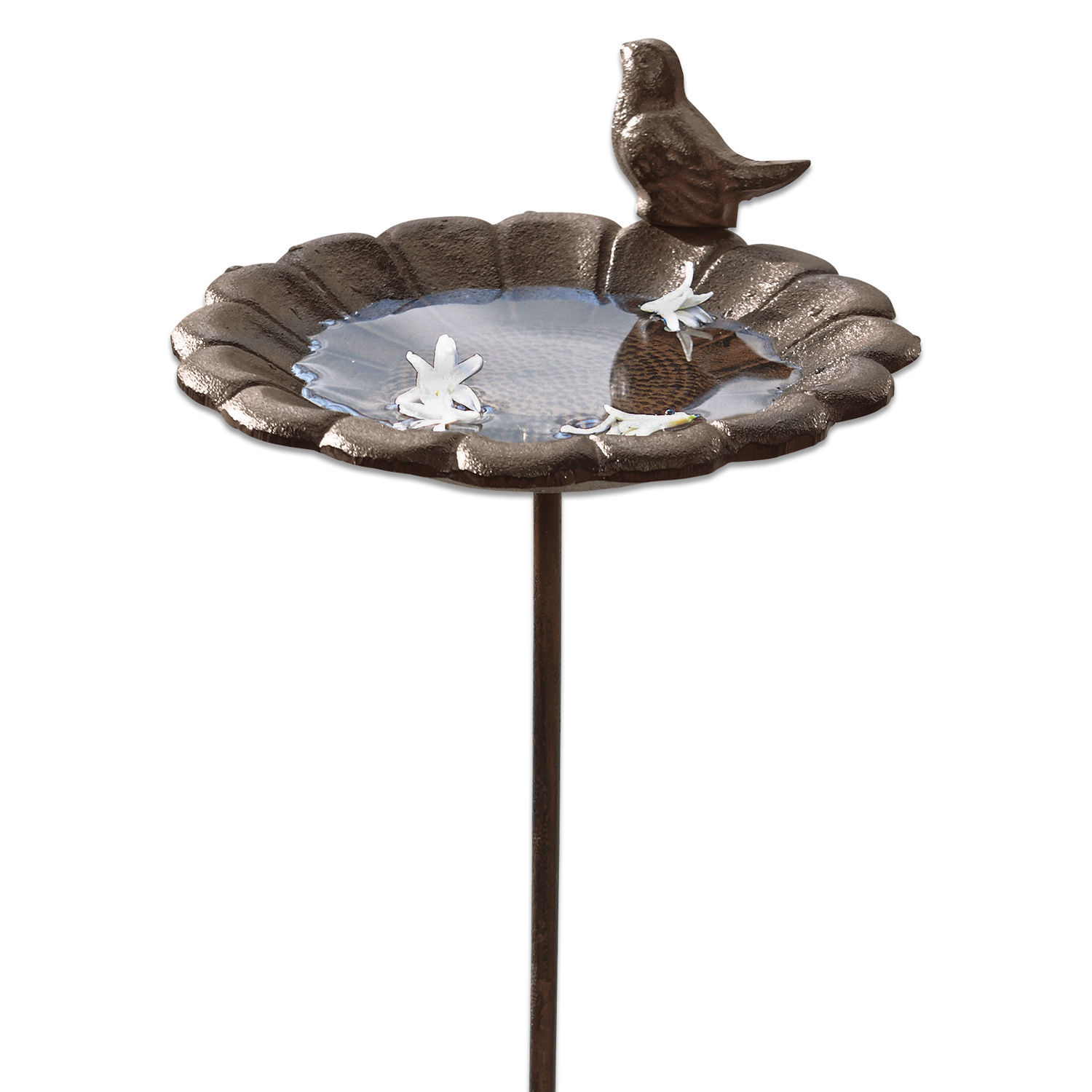 Vogeldrinkschaal Finch Decoratieve metalen vogelbad in bruin met vogelmotief en waterbak voor in de tuin