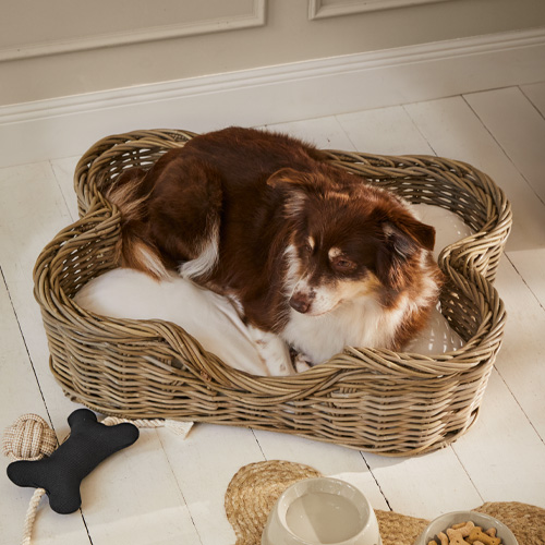 Slaapplekken en meubels