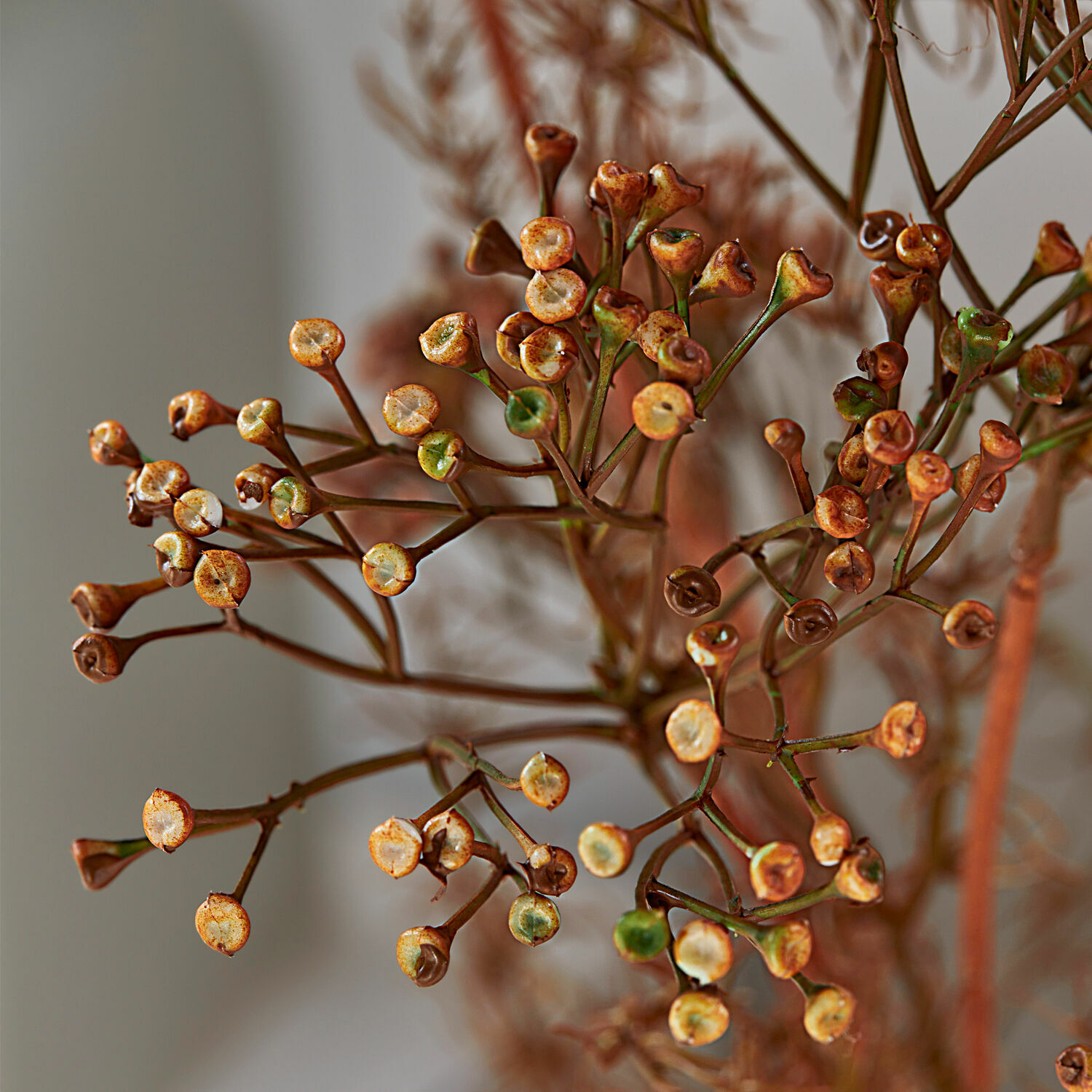 Sierbloem set van 4 Jennings