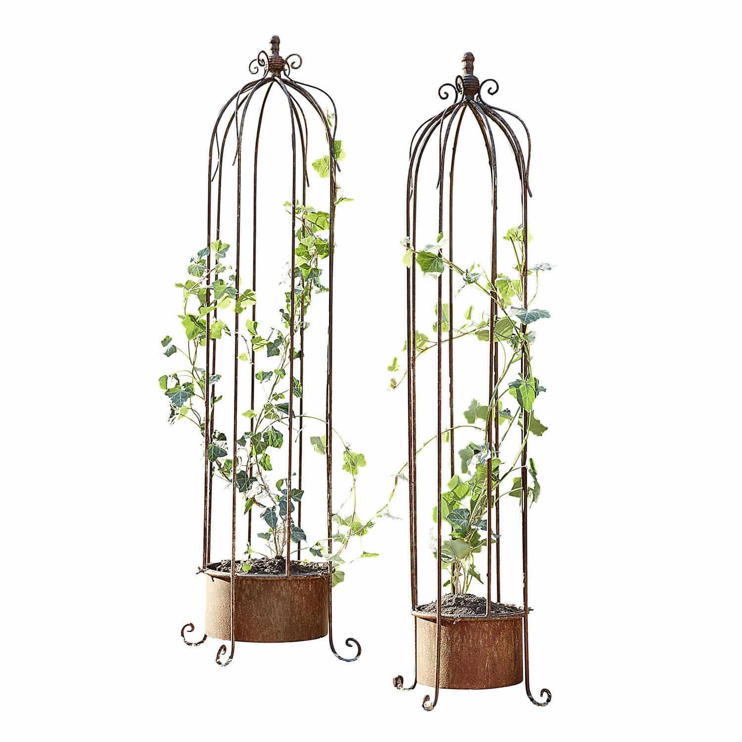 2-delige set plantensteunen Sixorev