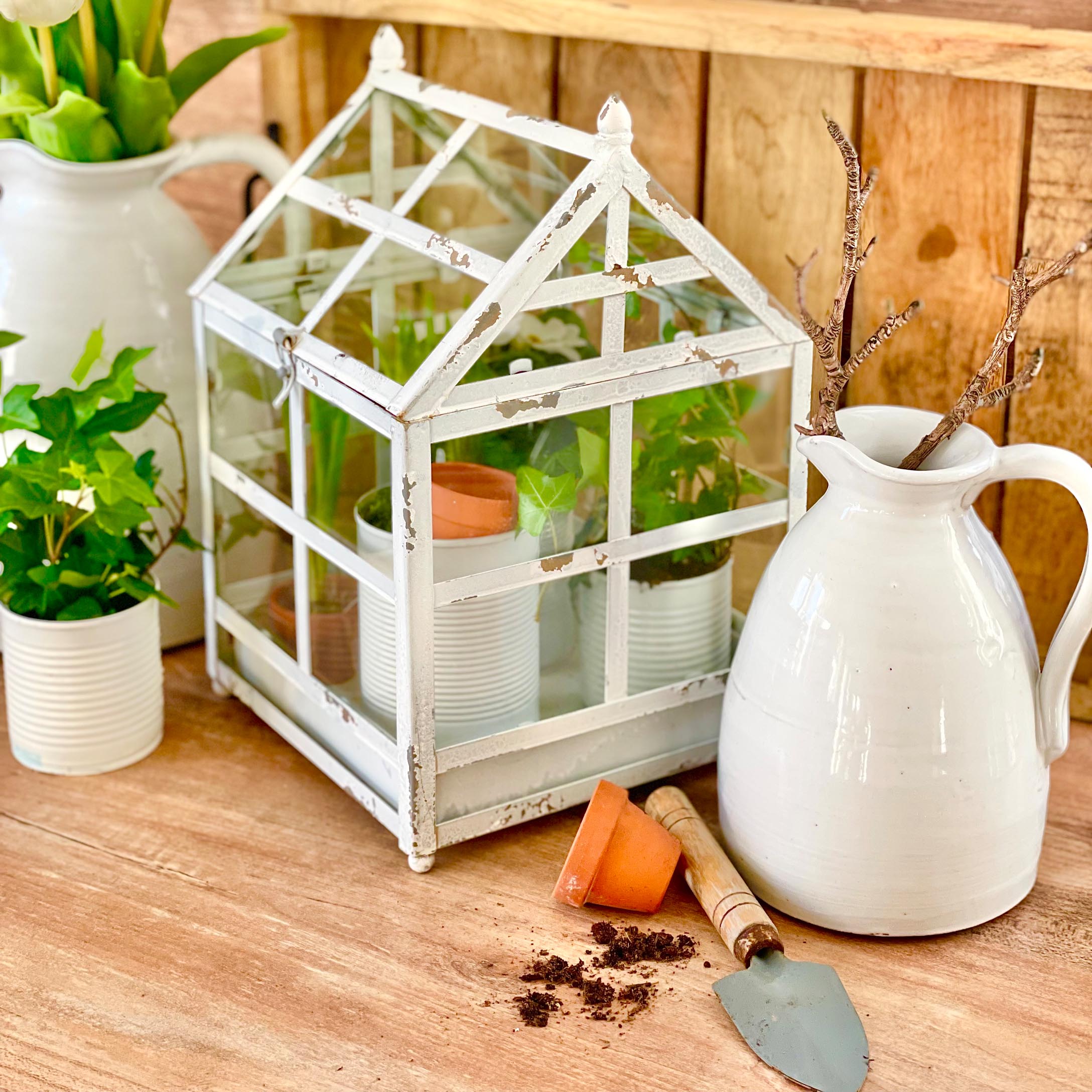 Witte metalen mini kas met verweerde look en planten op houten tafel voor tuindecoratie