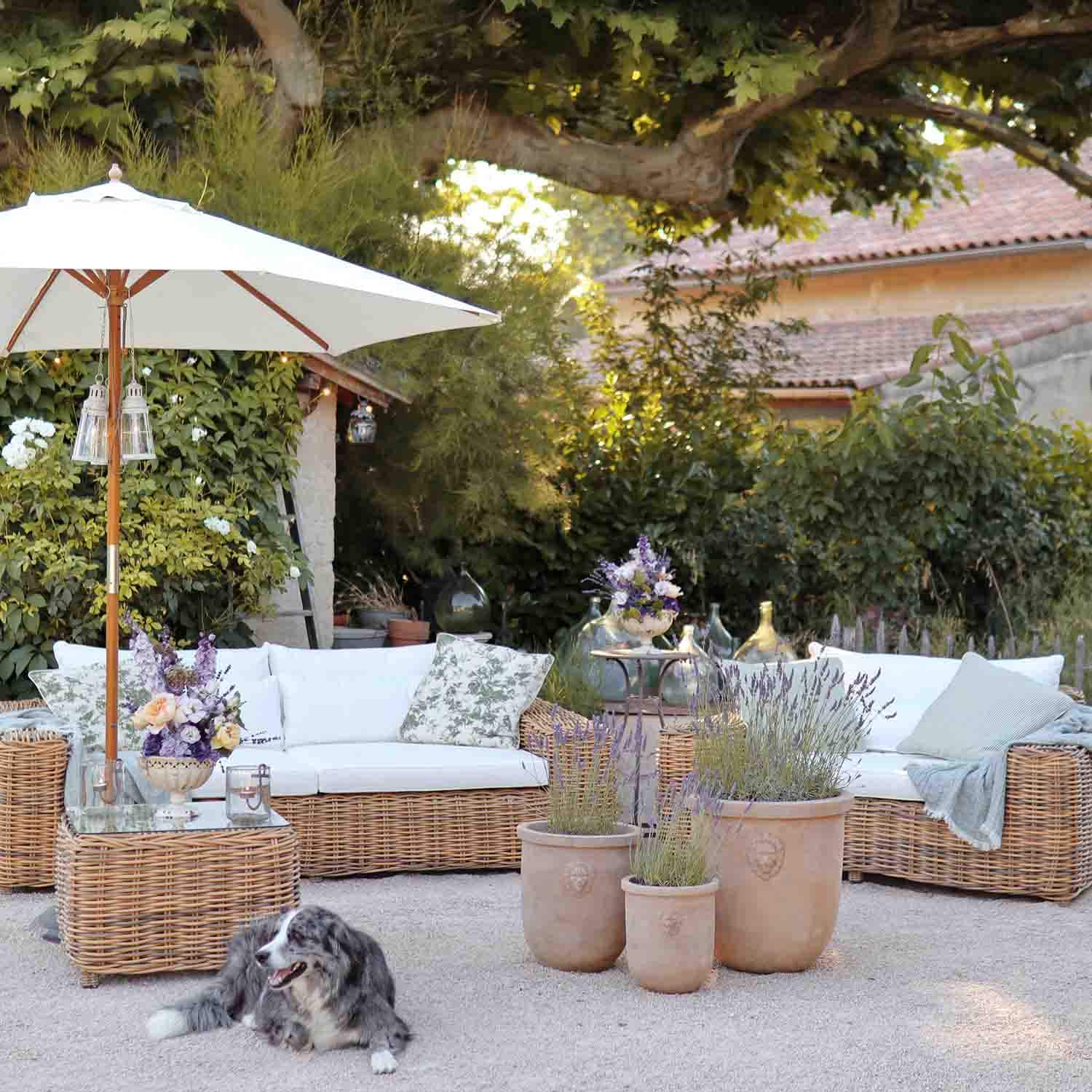 Rotan tuinmeubelset met witte kussens en lavendelpotten op terras met liggende hond
