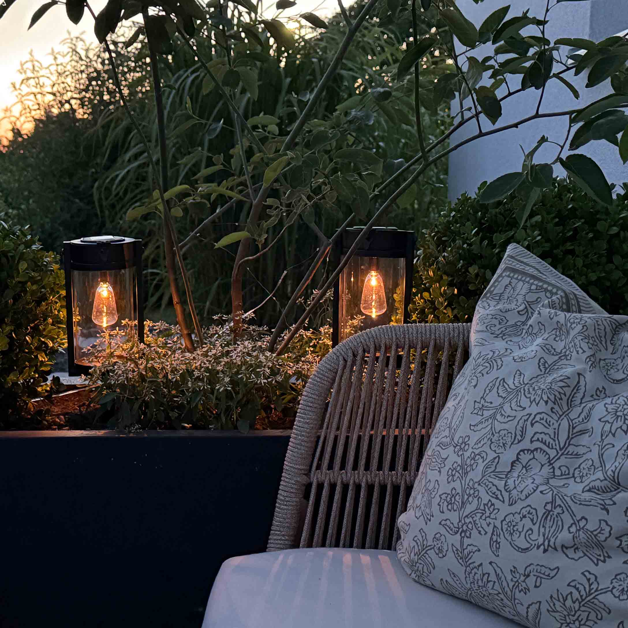 Tuinlantaarns van zwart metaal met warm licht tussen groene planten op het terras