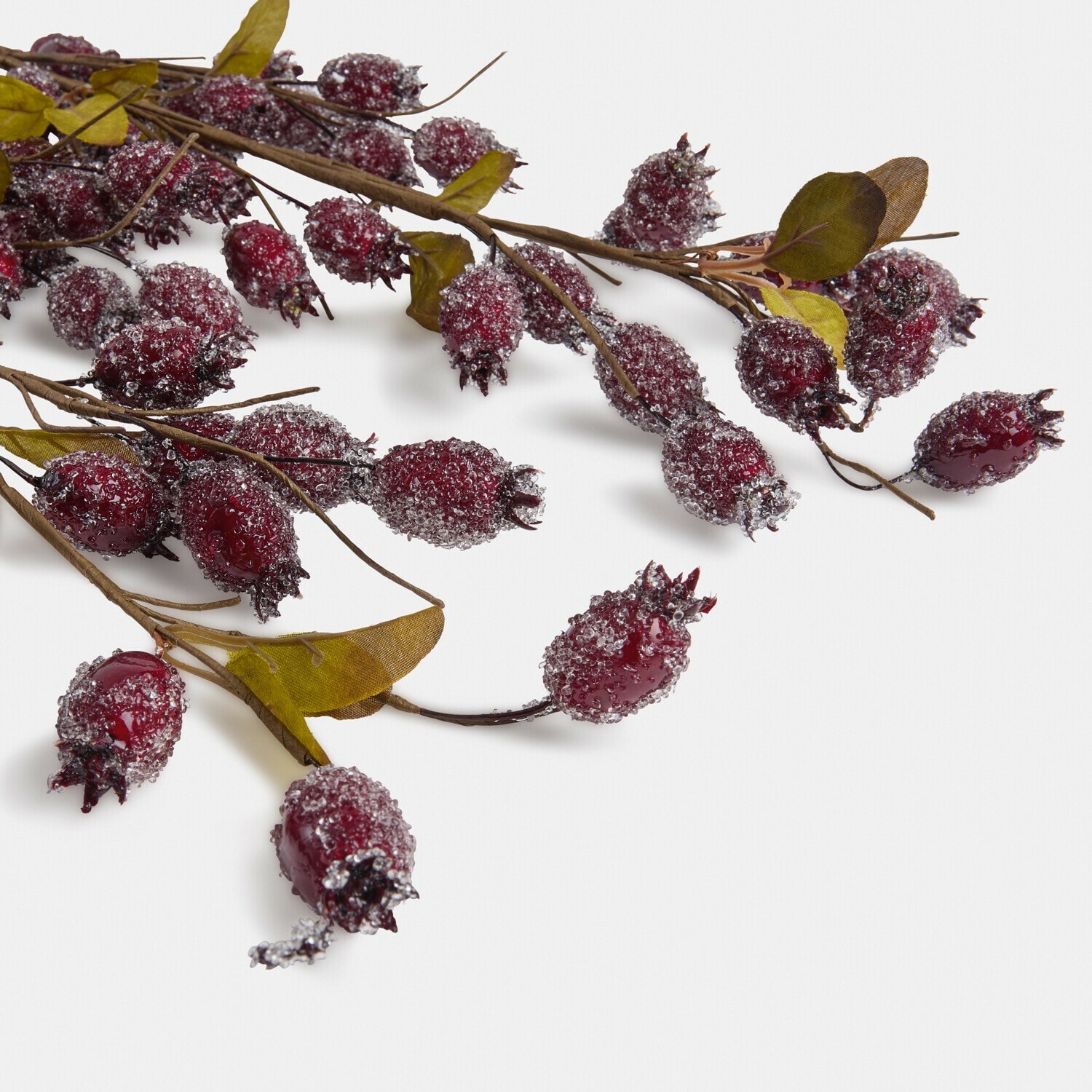 Kunsttak rozenbottels set van 3 Buttonbush