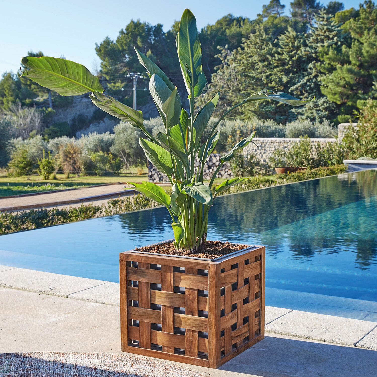 Sierpot Henry