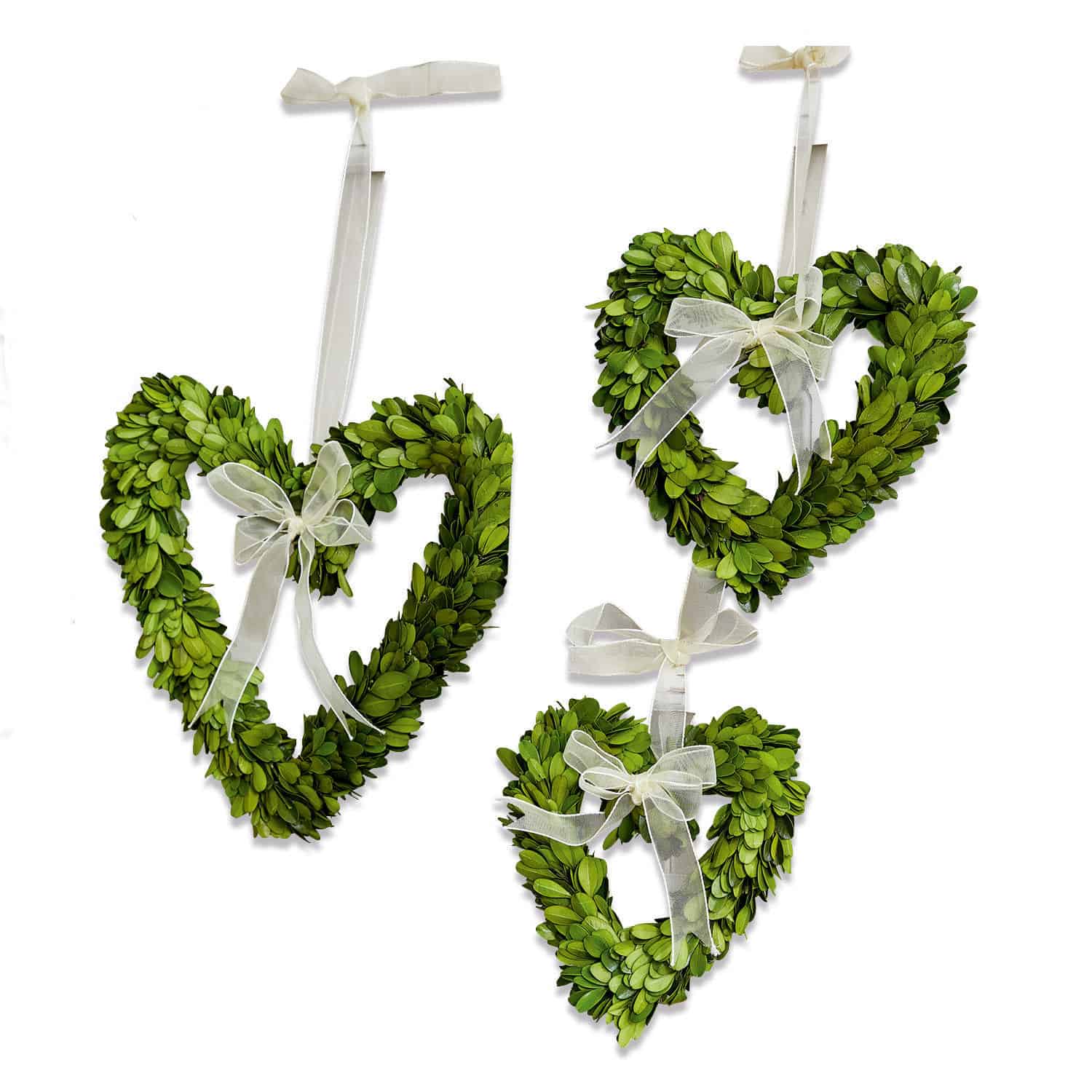 Hanger set van 3 Venia Groene hartkransen van bladeren met witte strikken om op te hangen, natuurlijke wanddecoratie