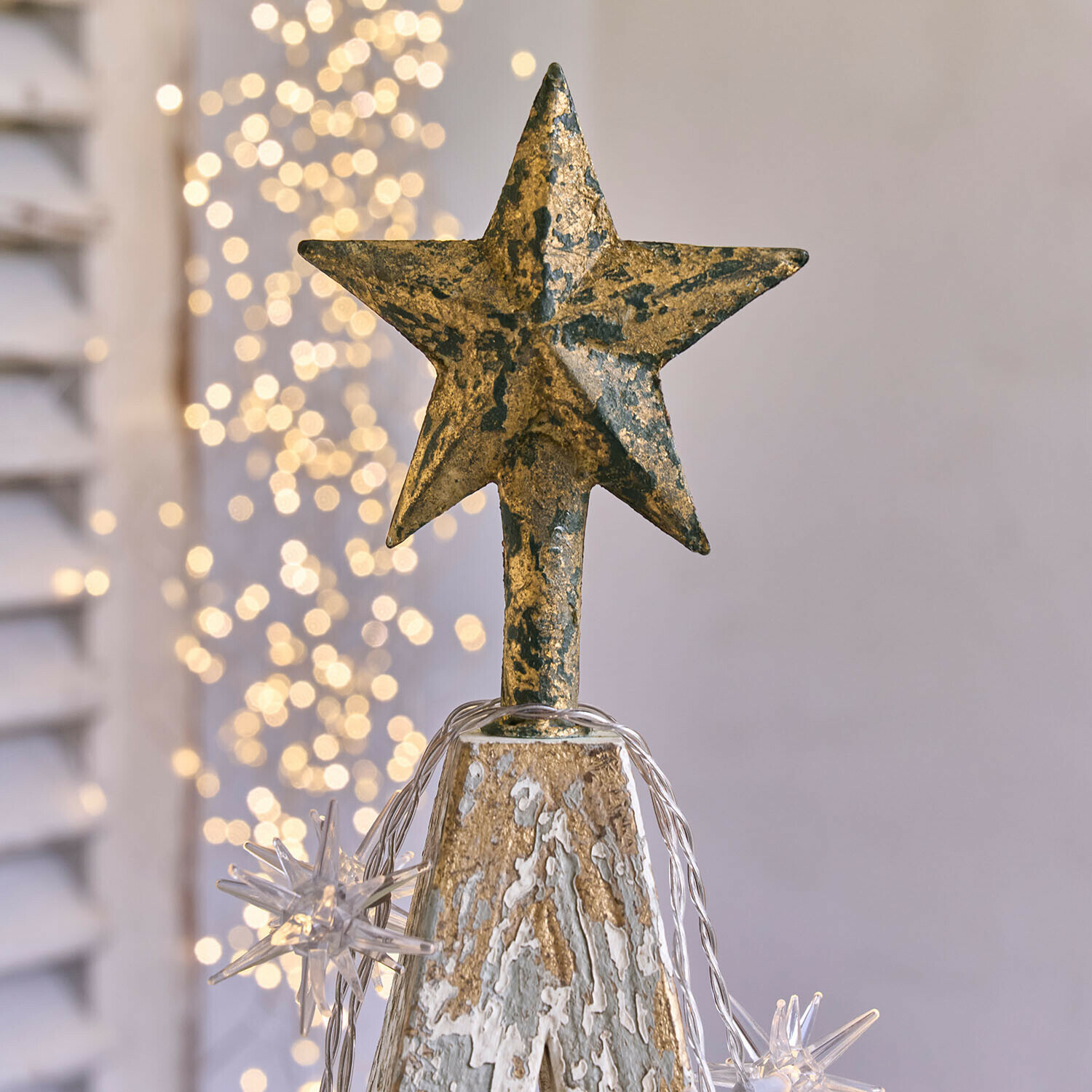 Decoratieve boom Myrnara