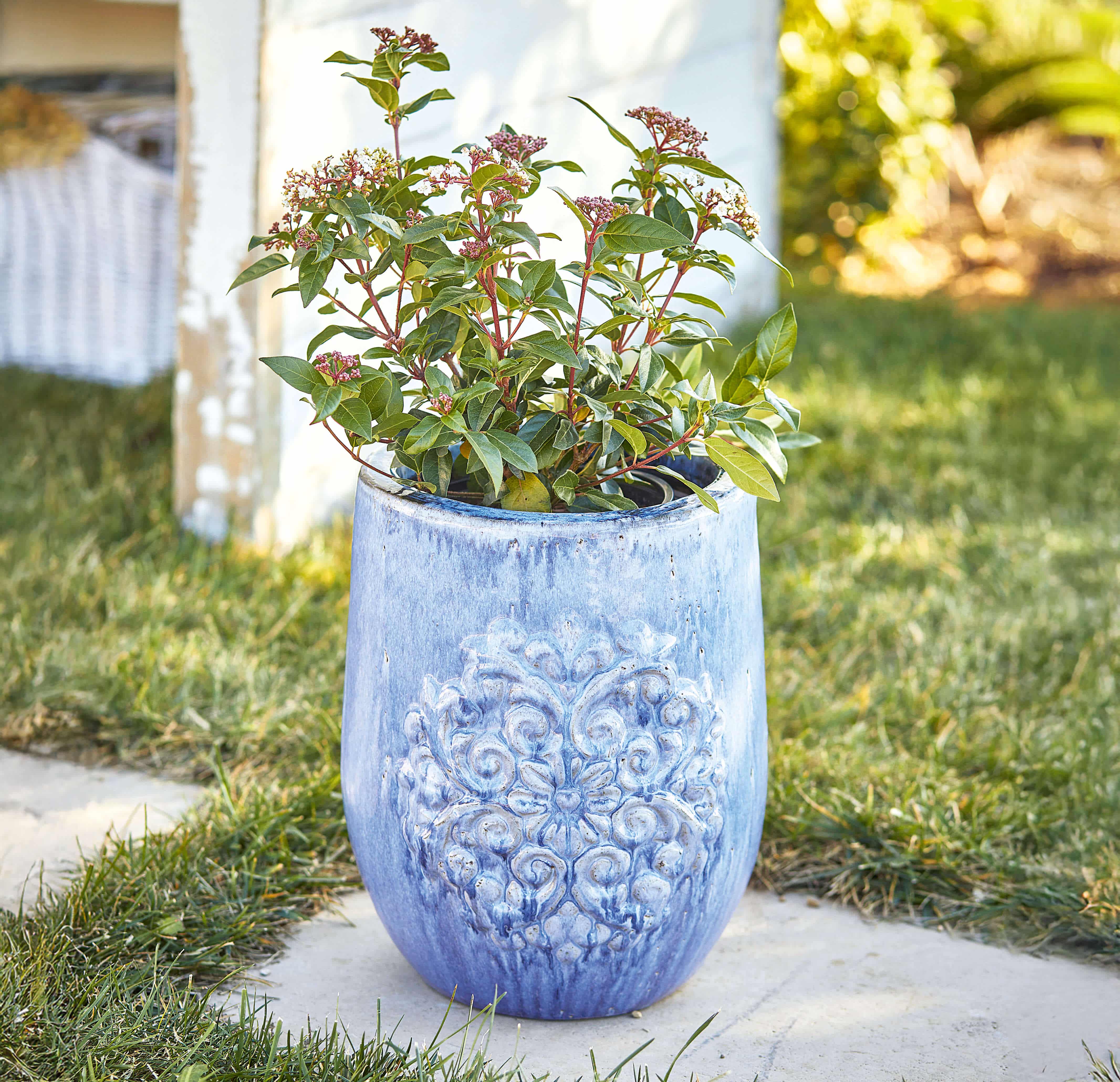 Blauwe keramische bloempot met decoratief reliëf, perfect voor tuin of terras, duurzaam en stijlvol