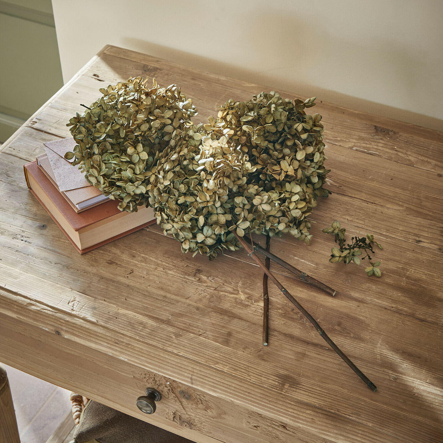 Droogbloem set van 3 Brissonne Gedroogde beige hortensia bloemen op een houten tafel met boeken en een envelop