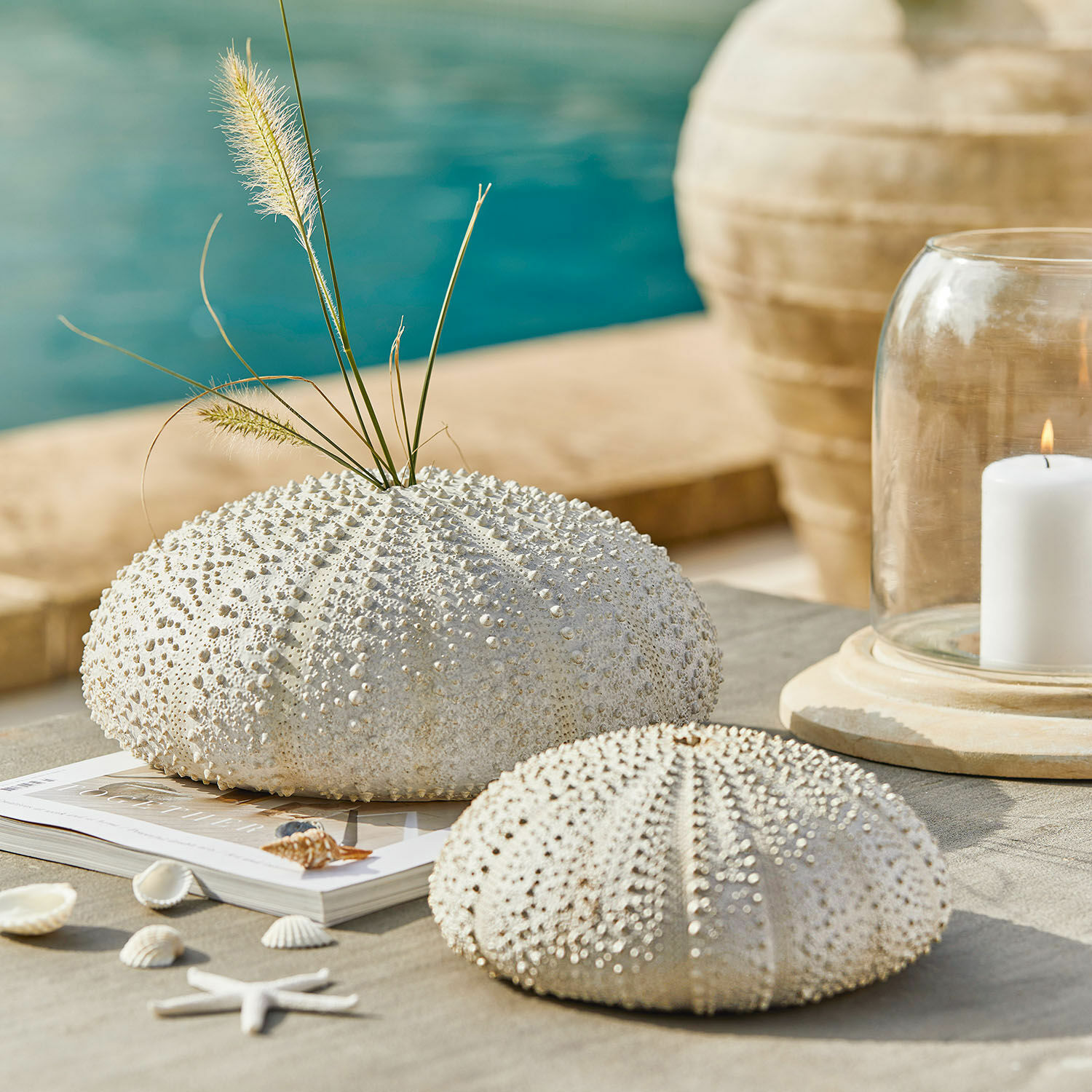 Sierzee-egel set van 2 Kimbar Decoratieve witte zee-egels op tafel met natuurlijke grassen en kaars, kuststijl