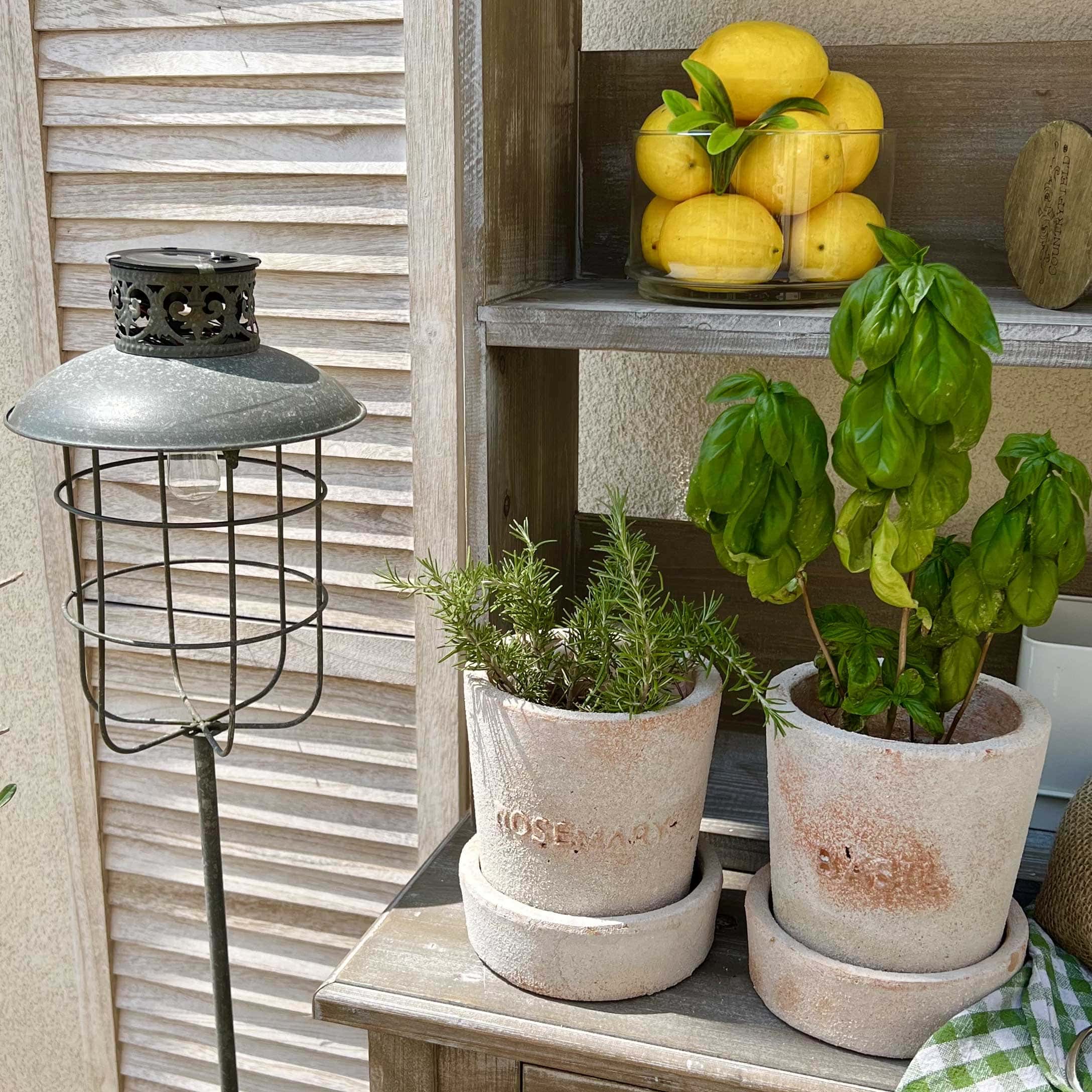 Terracotta potten met rozemarijn en basilicum op houten tafel naast een tuinlamp