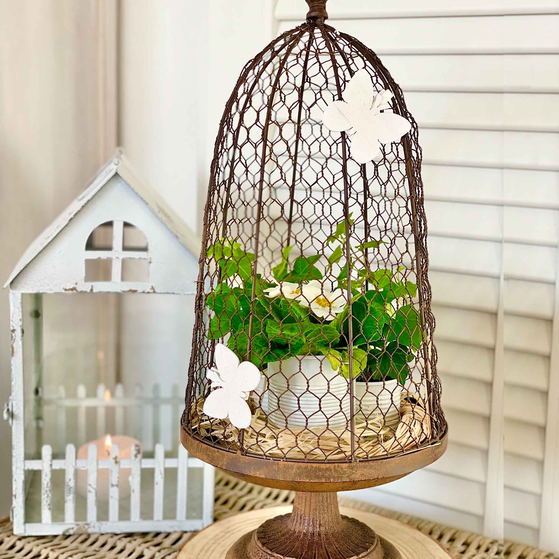 Decoratieve metalen koepel in rustieke stijl met witte vlinders en groene plant in pot