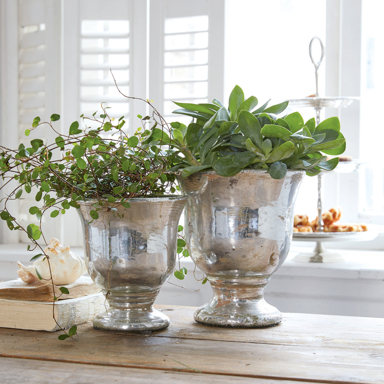 Sierpot set van 2 Banon Twee zilveren metalen potten met groene planten op houten tafel in lichte kamer