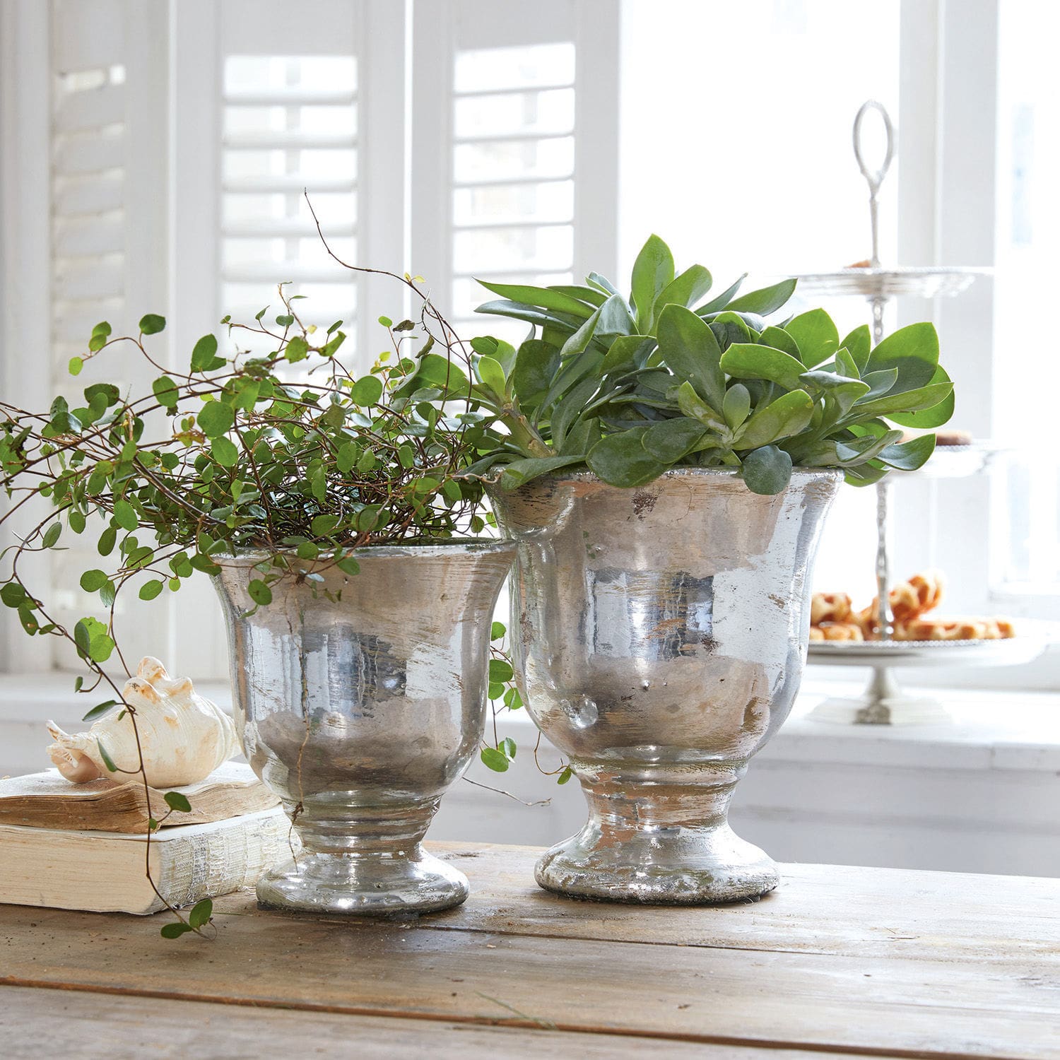 Sierpot set van 2 Banon Twee zilveren metalen potten met groene planten op houten tafel in lichte kamer