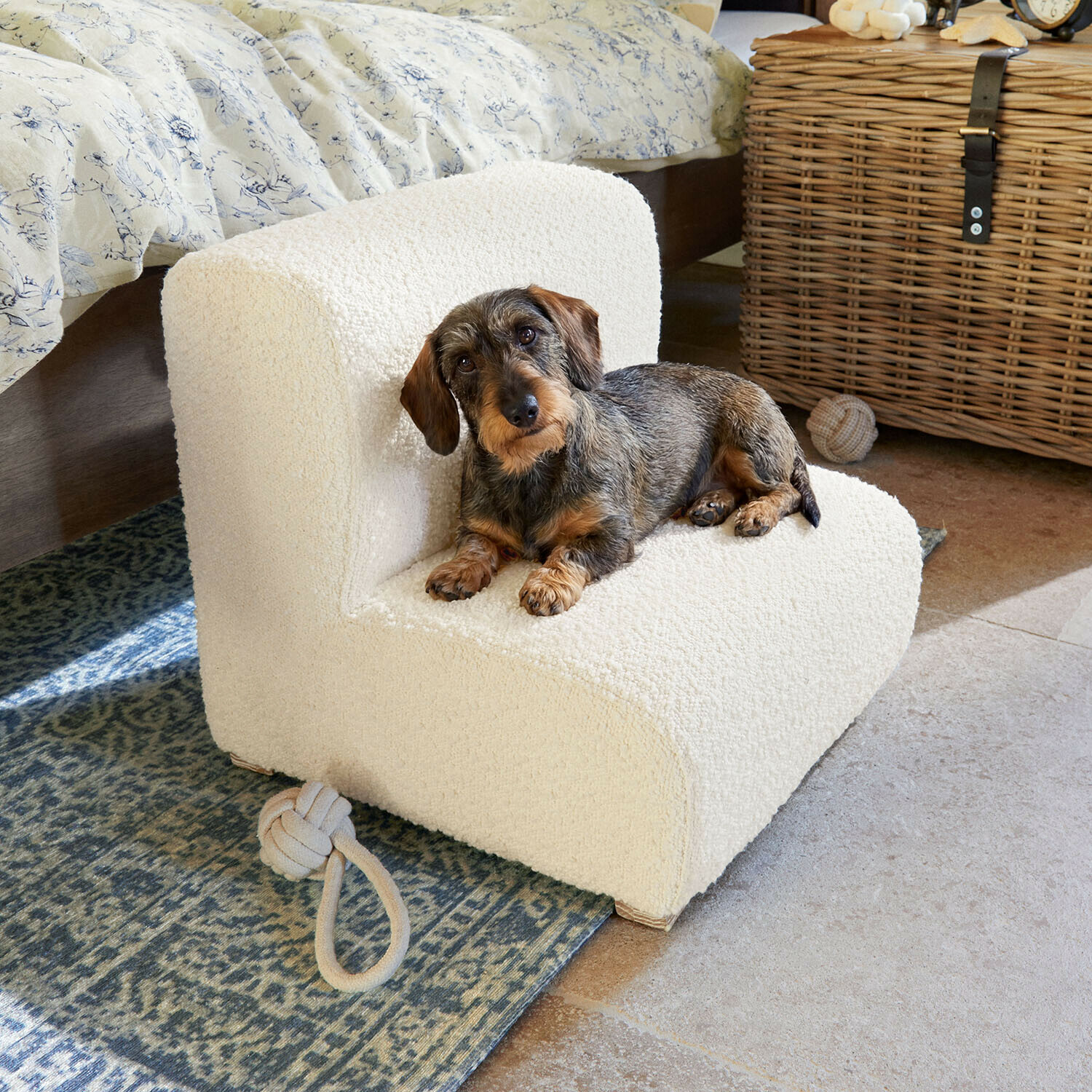 Kleine teckel liggend op een crèmekleurige stoel van zacht materiaal in een gezellige kamer met tapijt