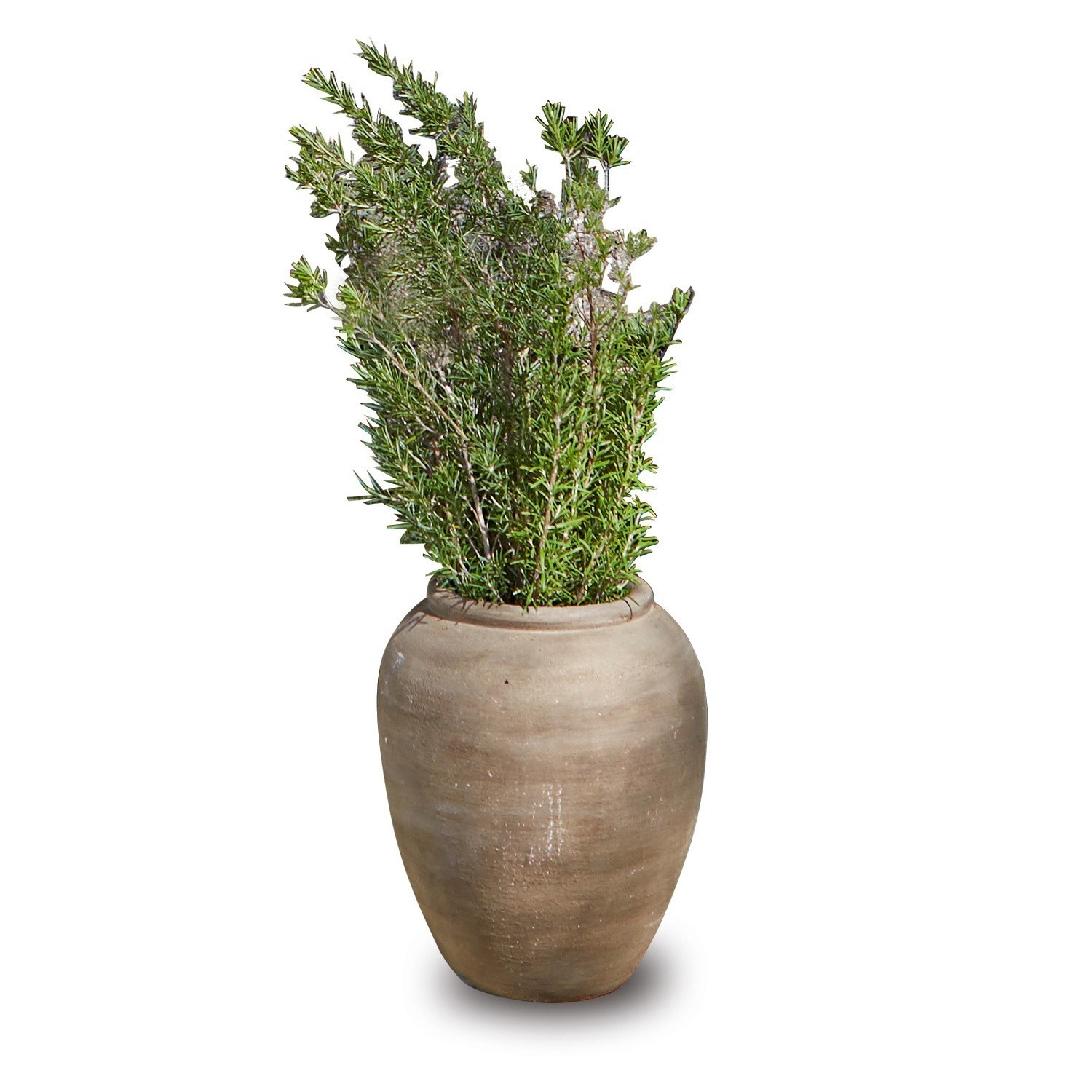 Sierpot Venise