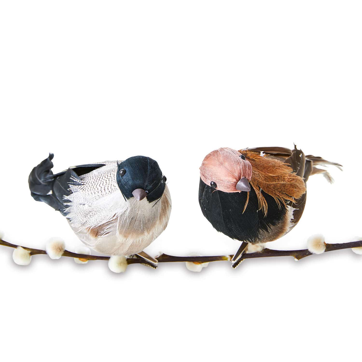 Twee decoratieve vogels van veren op tak met knoppen, natuurlijke woondecoratie