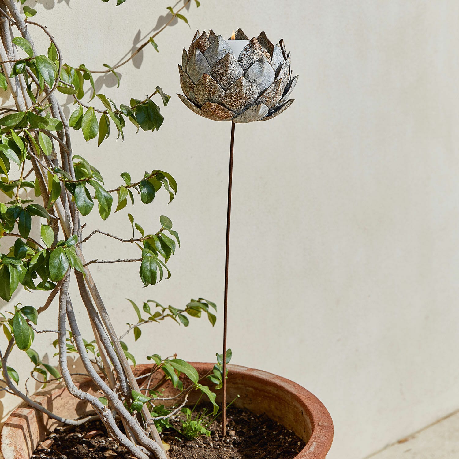 Kaarsenhouder Cuvier