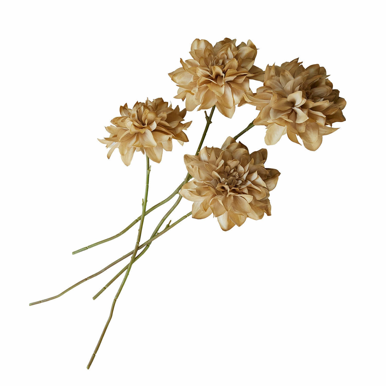 Sierbloem set van 4 Cappellina