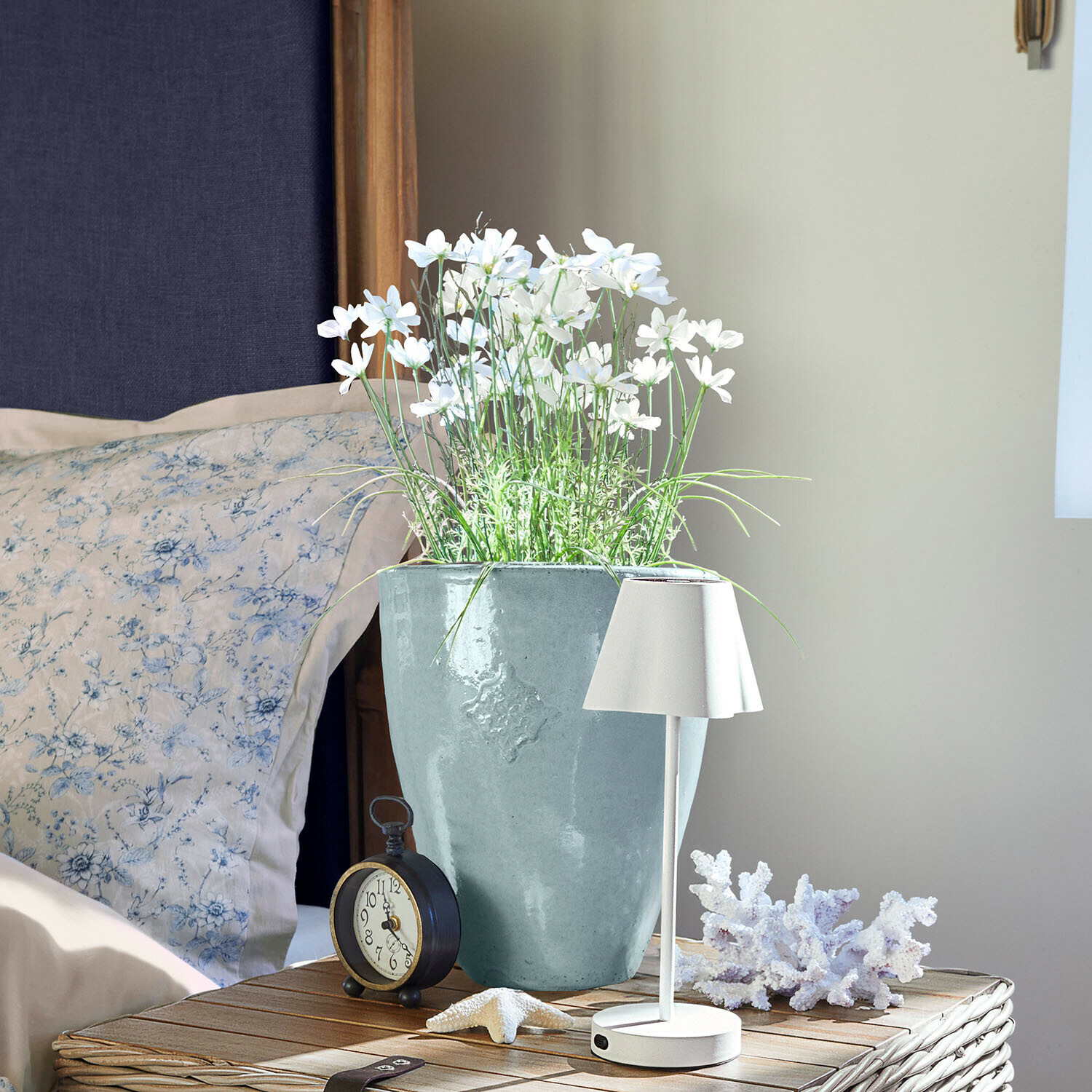 Decoratieve potplant Harmoise