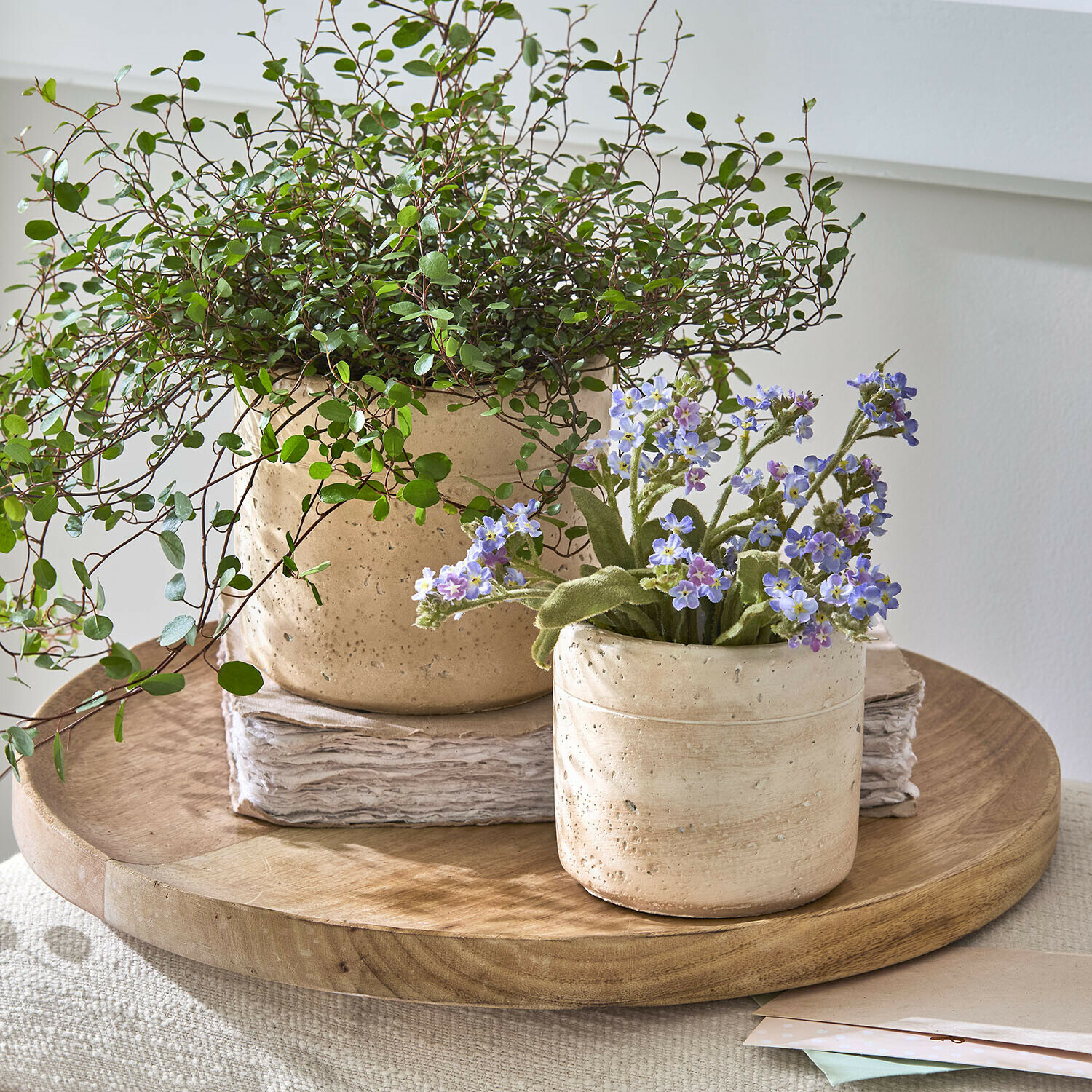 Twee beige keramische potten met groene en paarse bloemen op een decoratief houten dienblad