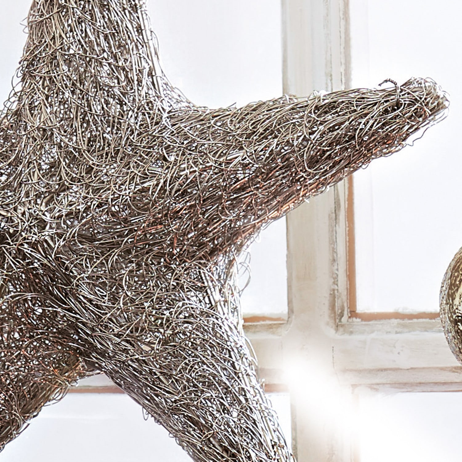 Lichtster Conrey