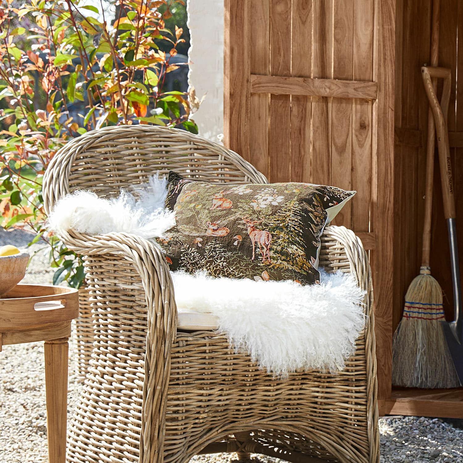 Kussenhoes Clairvigne