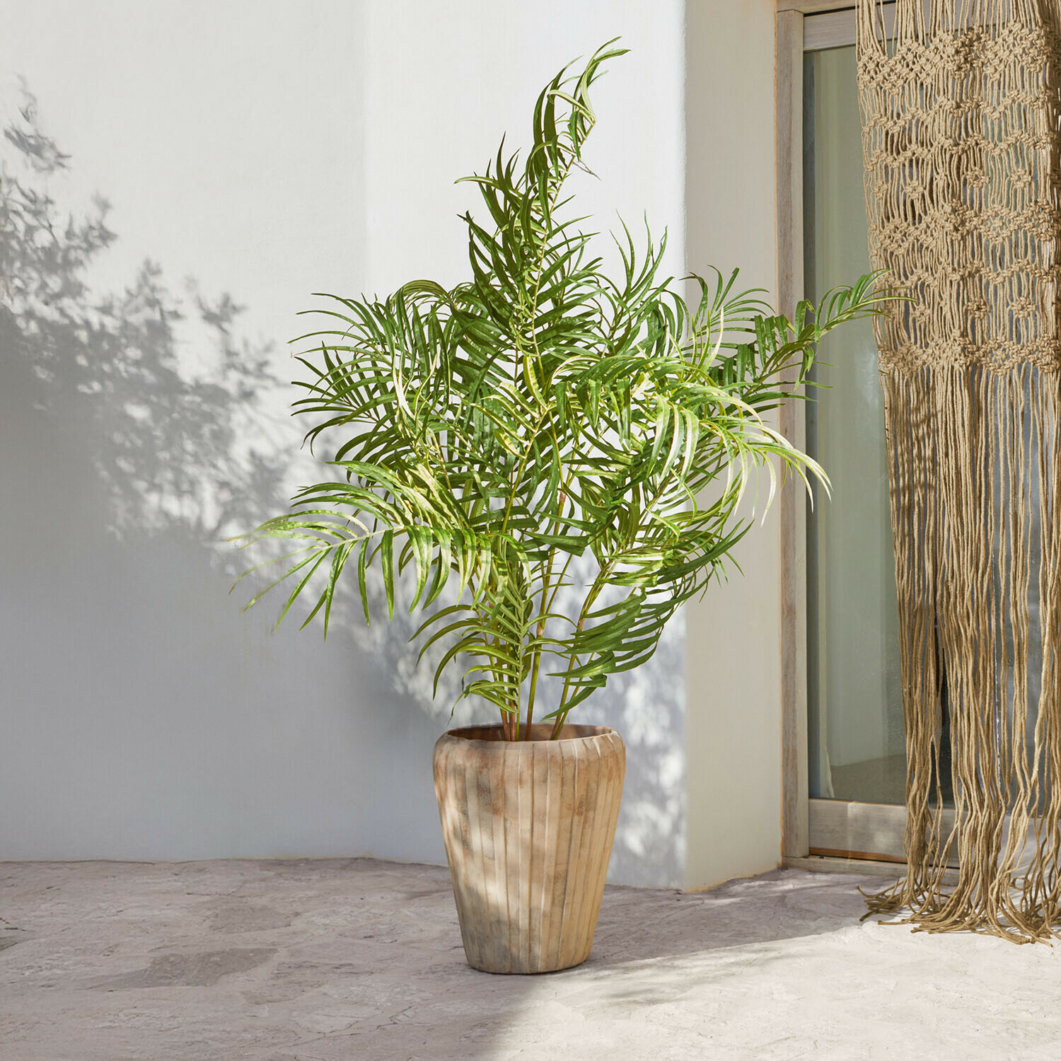 Decoratieve palmplant Mersina