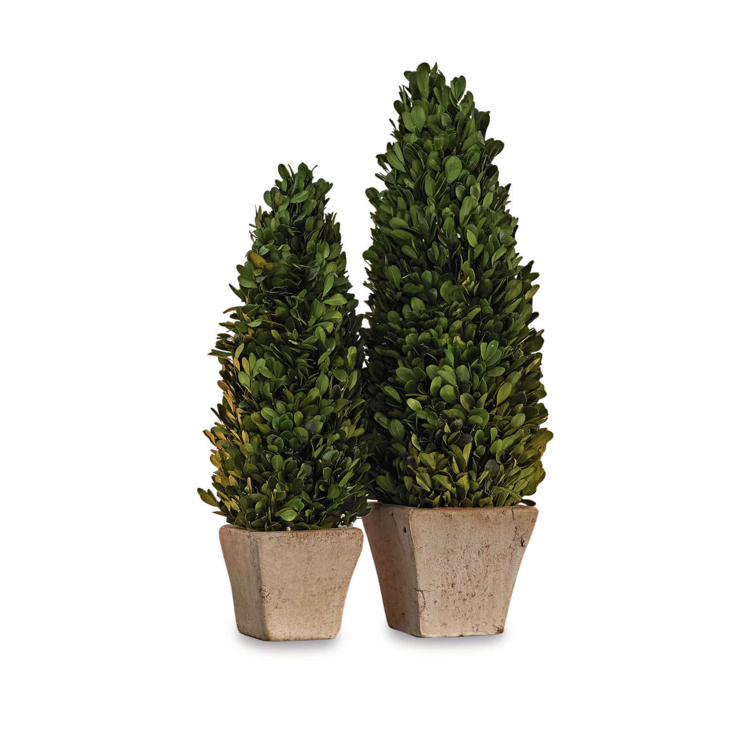Sierboom set van 2 Pierry