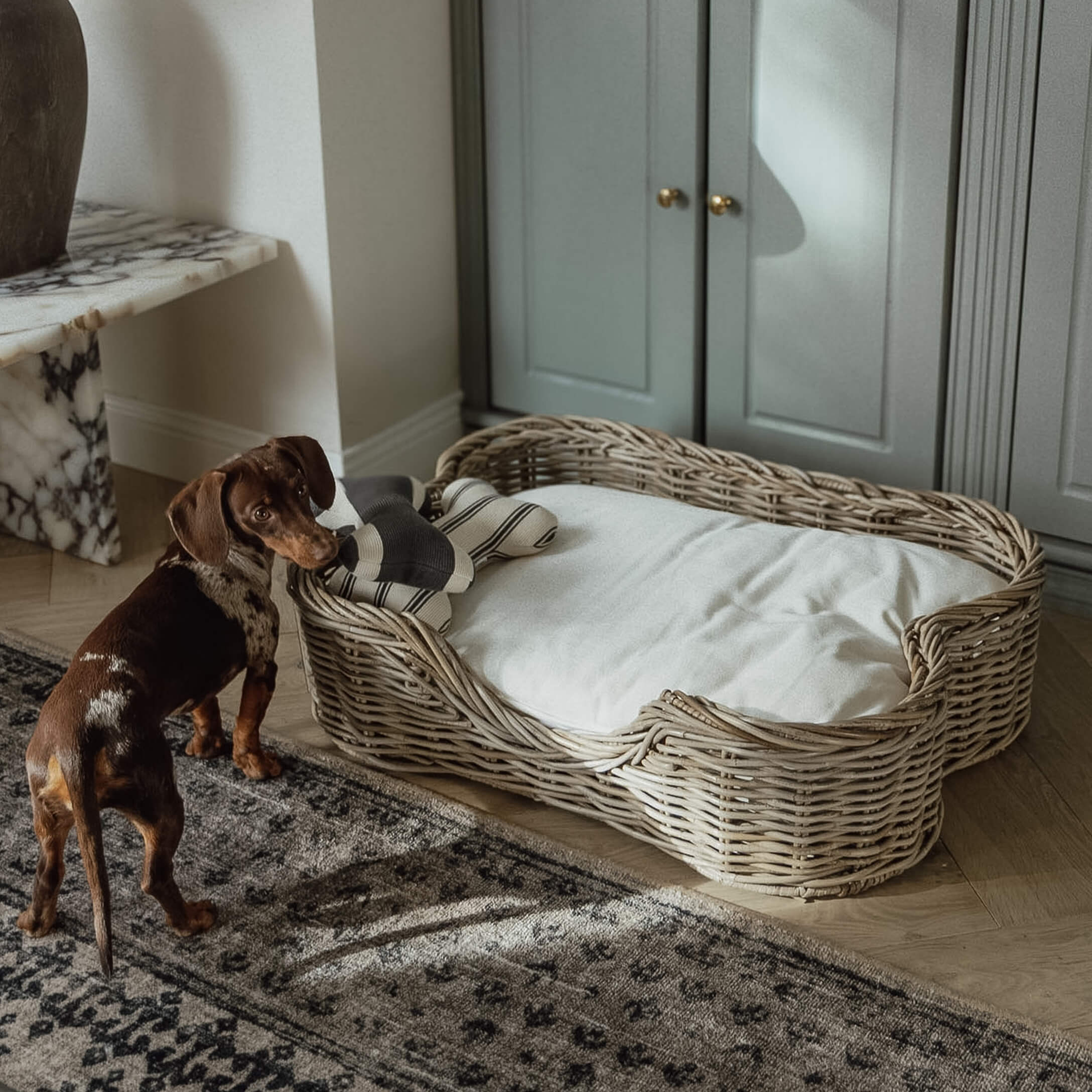 Bruine teckel naast een rieten mand met wit kussen en speelgoed in een woonkamer met grijze kast