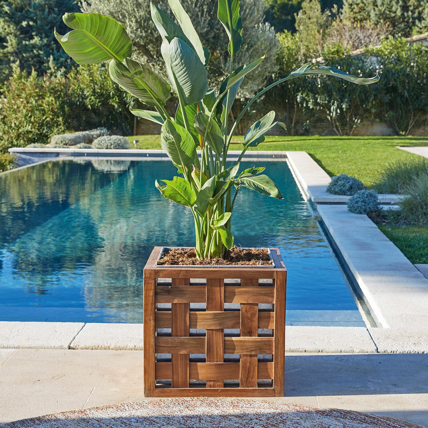 Sierpot Henry