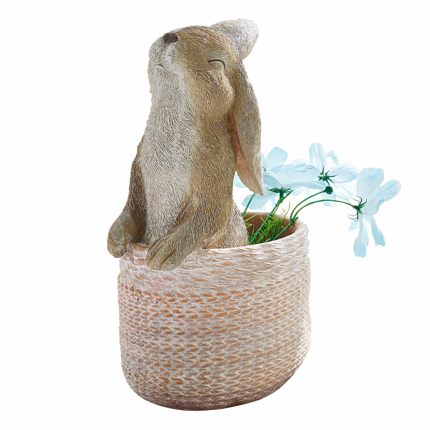 Sierpot Merisette