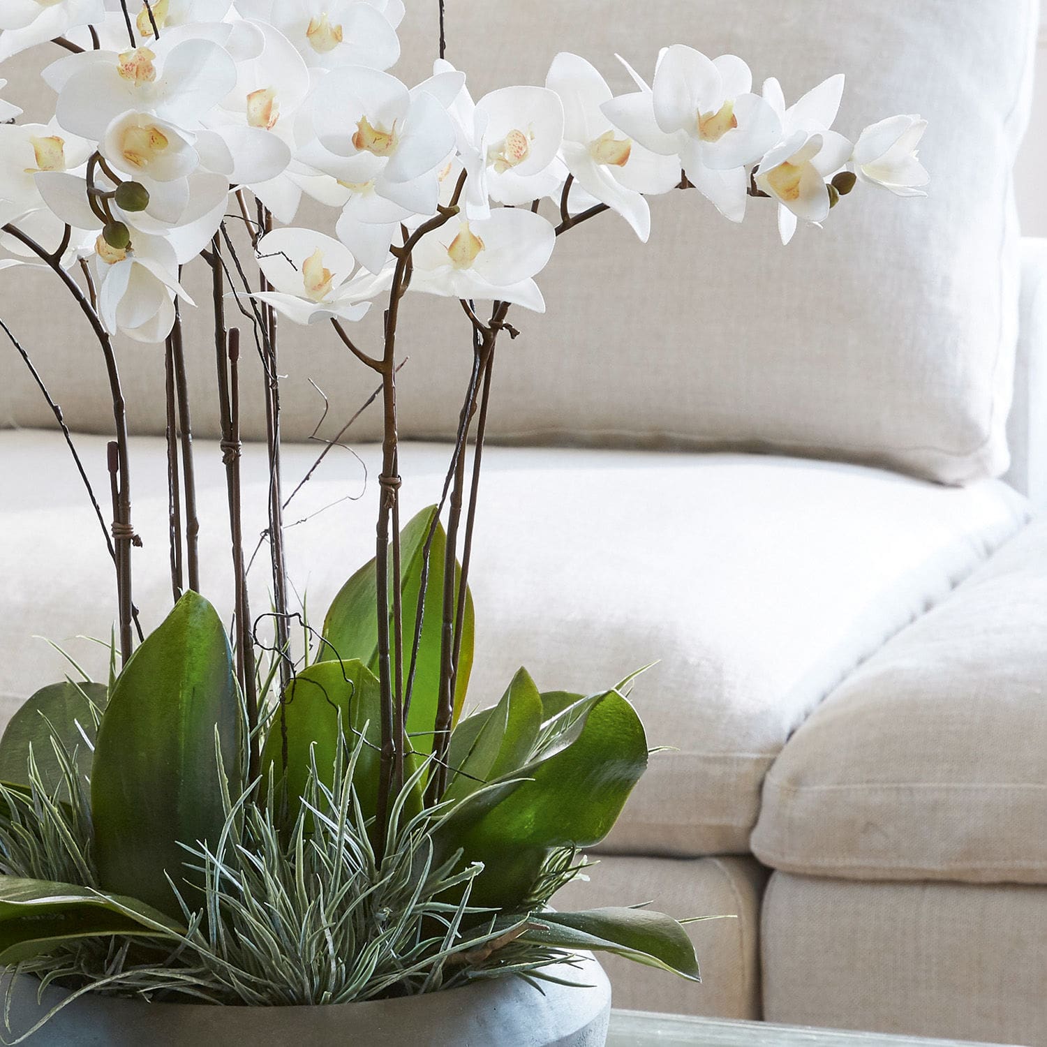 Sierbloem Balais