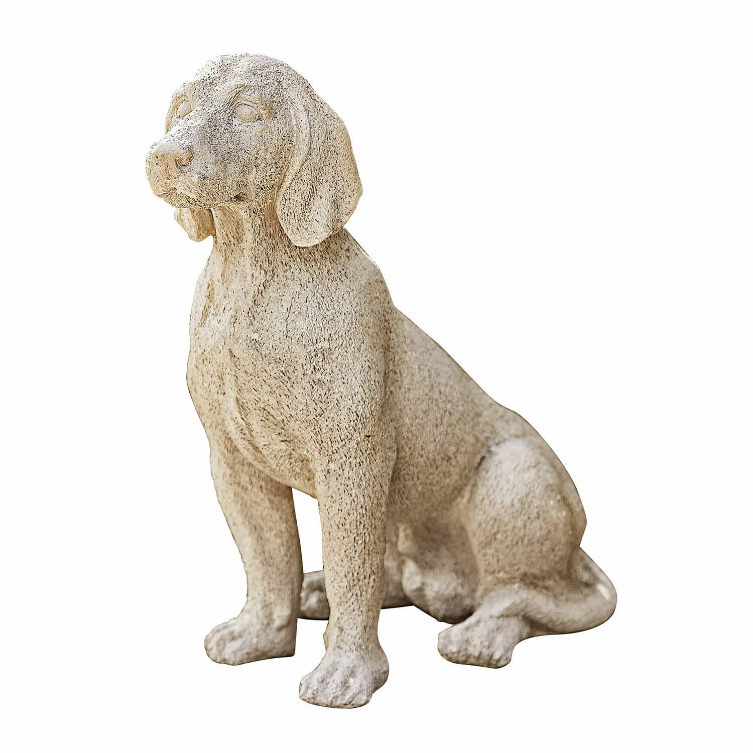 Decoratieve hond Albinor
